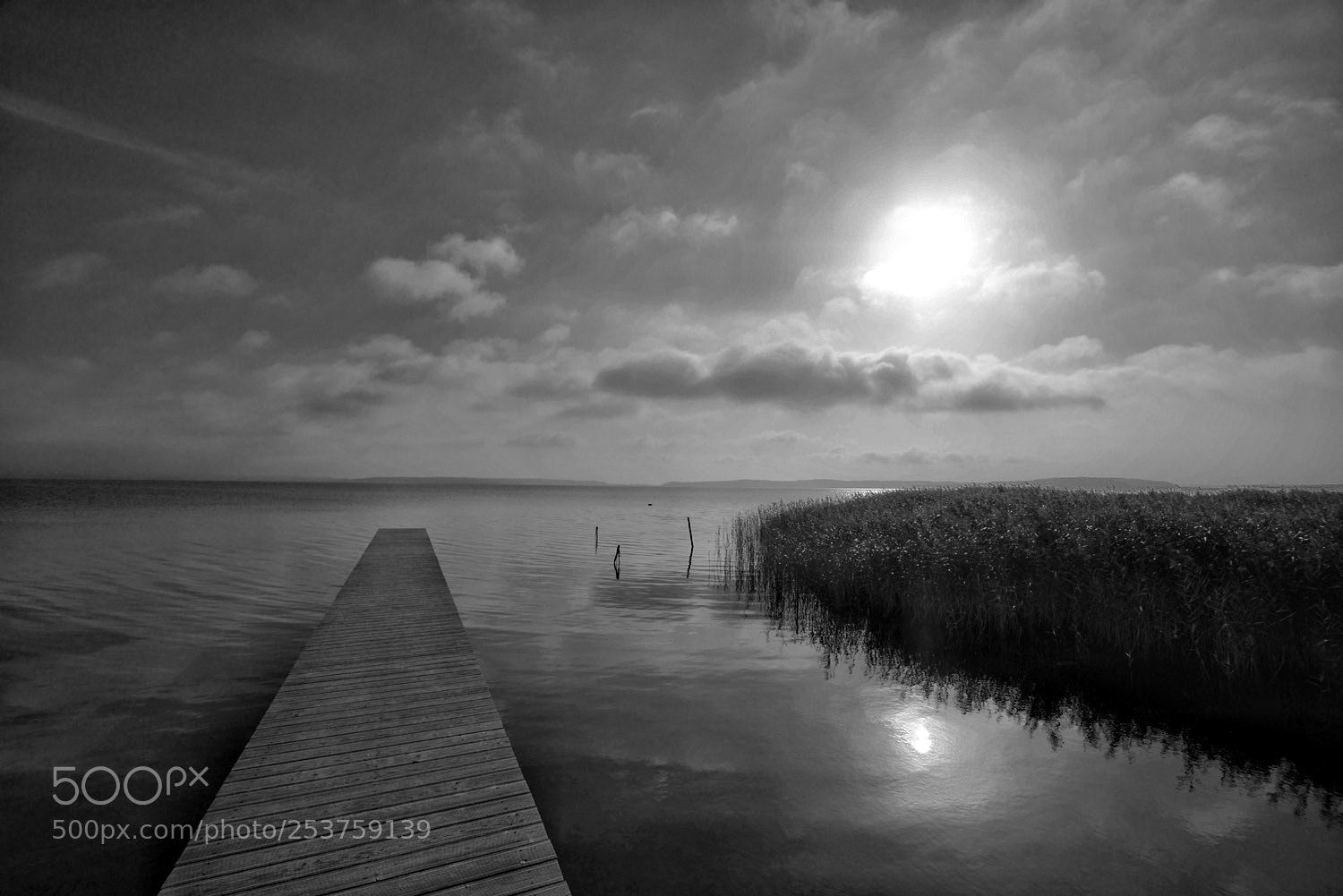 Sony a7R sample photo. Baltic coast photography