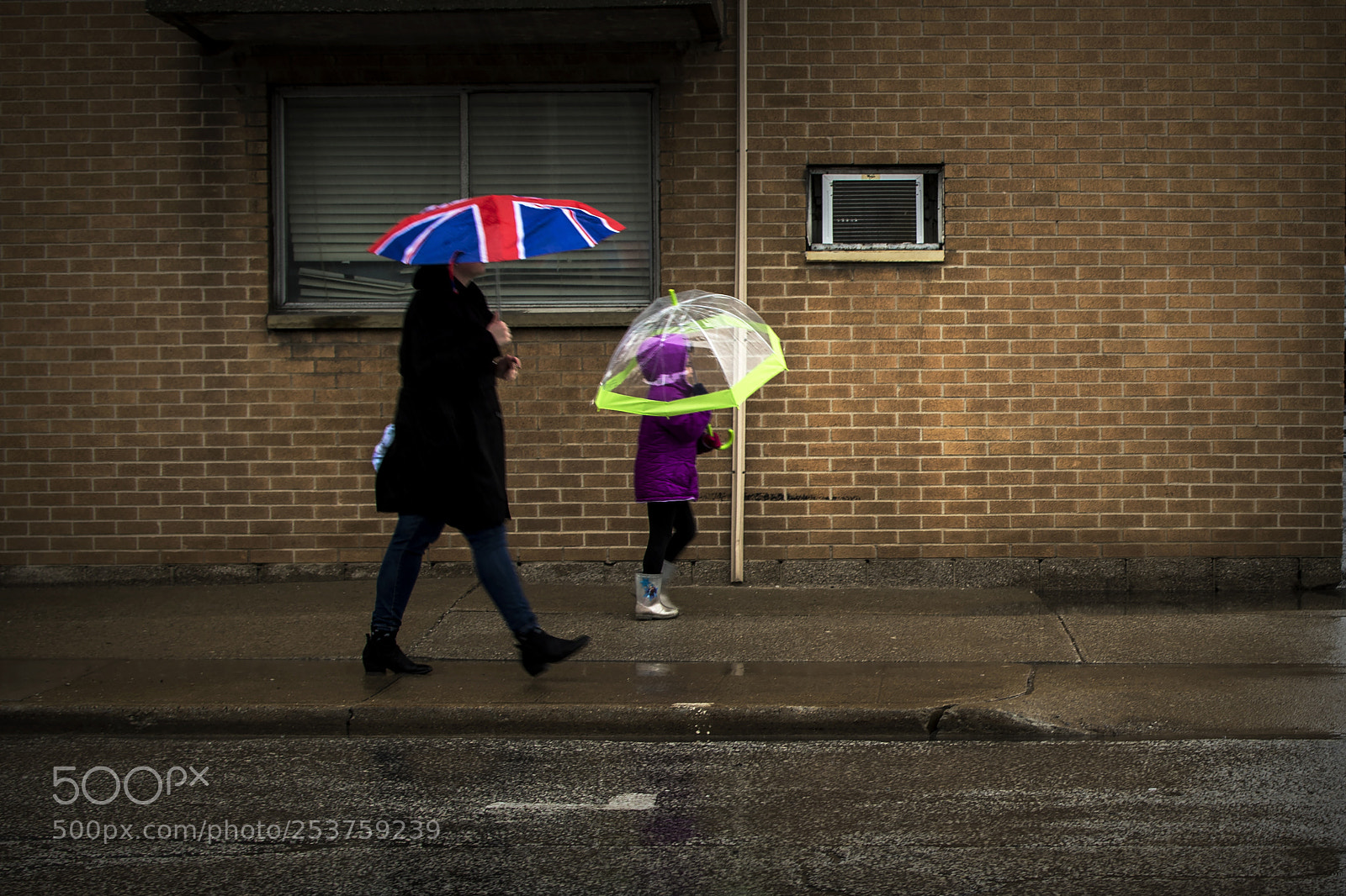Nikon D500 sample photo. Rainy day. windsor, on. photography