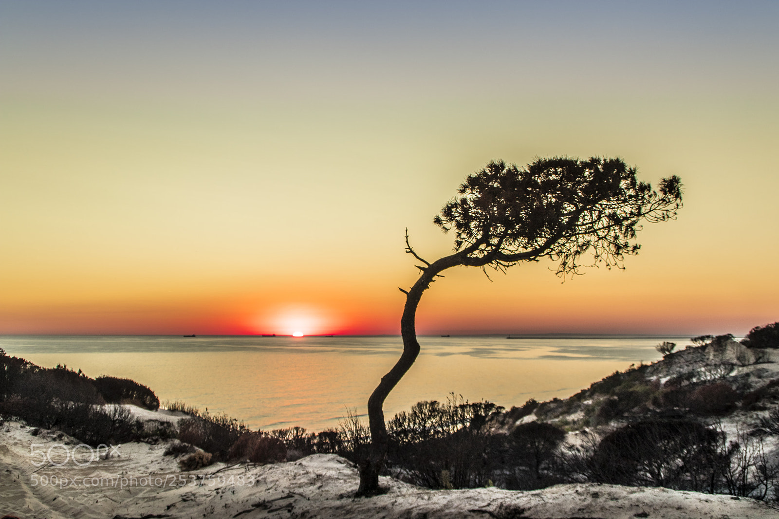 Canon EOS 80D sample photo. Sunset photography