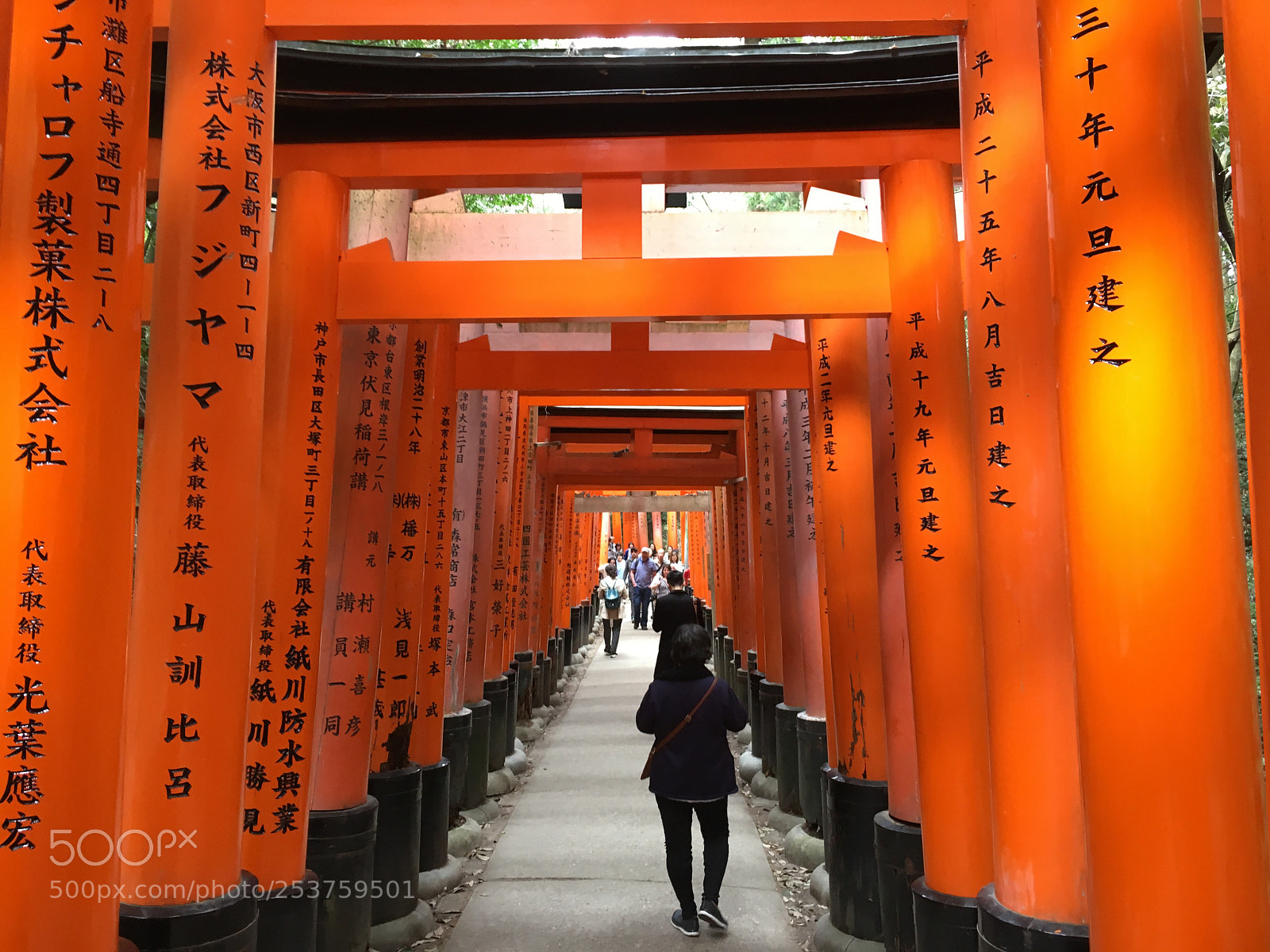 Apple iPhone 6s sample photo. Fushimi inari-taisha shrine photography