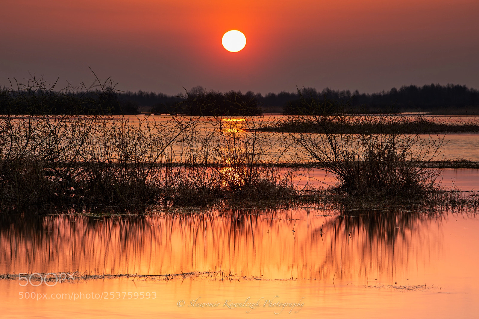 Canon EOS 5D Mark IV sample photo. Biebrza national park photography