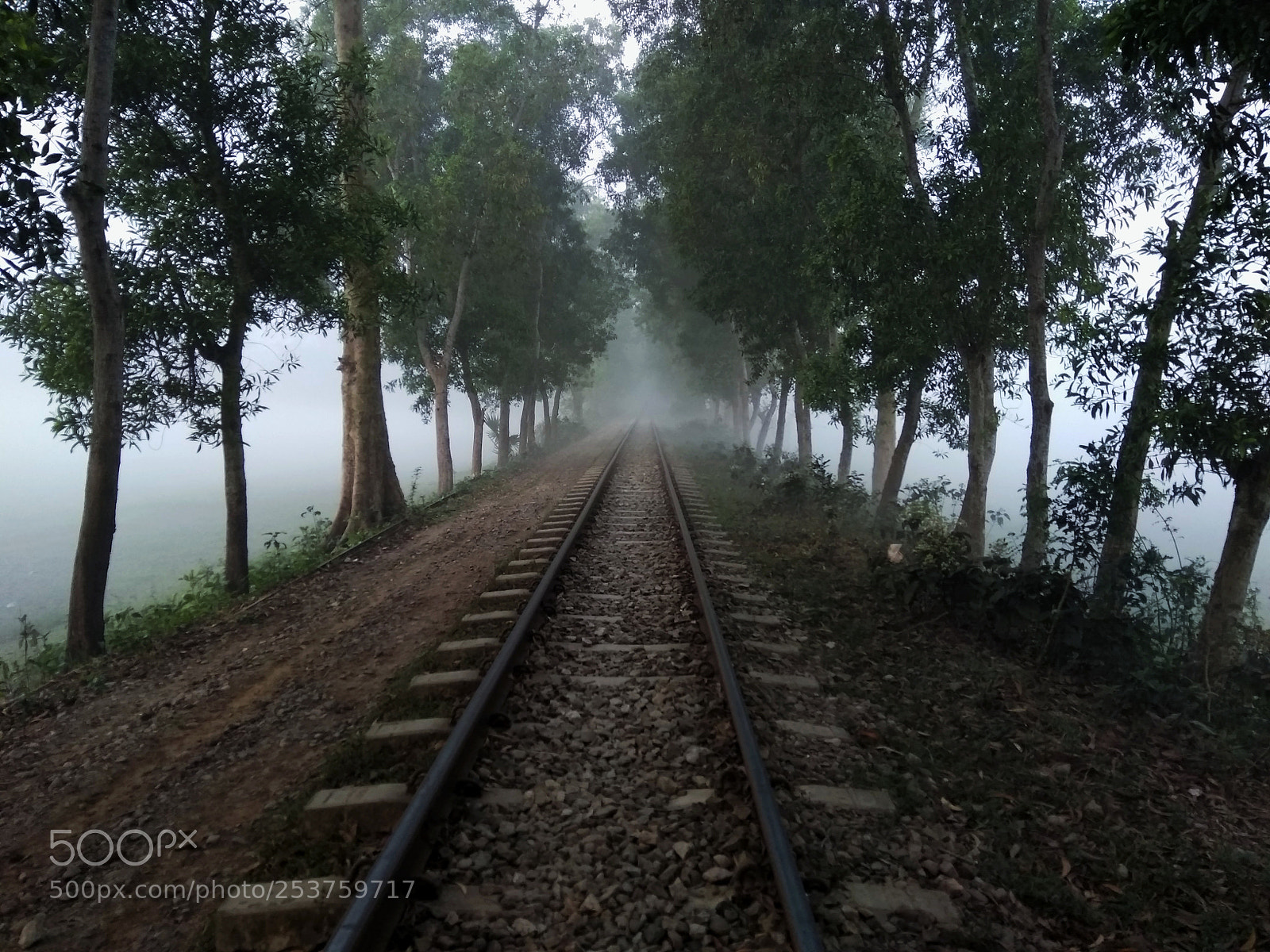 Xiaomi Redmi Note 4 sample photo. Rail line photography