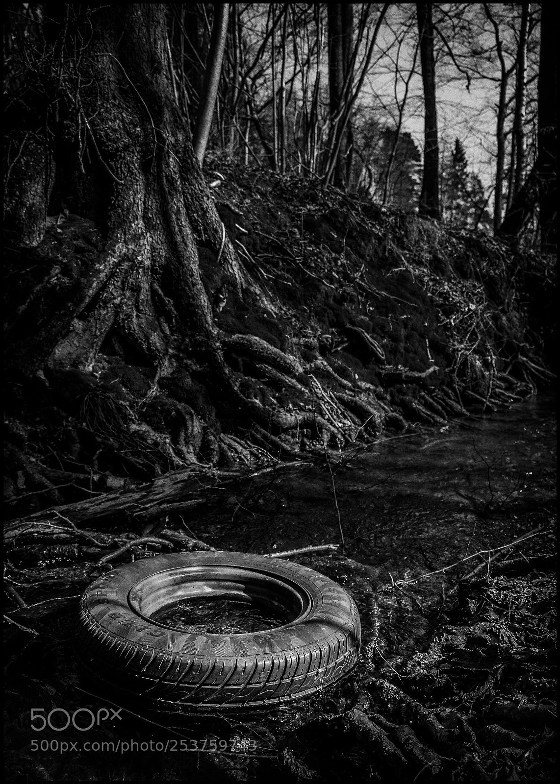 Fujifilm X-T20 sample photo. Tire photography