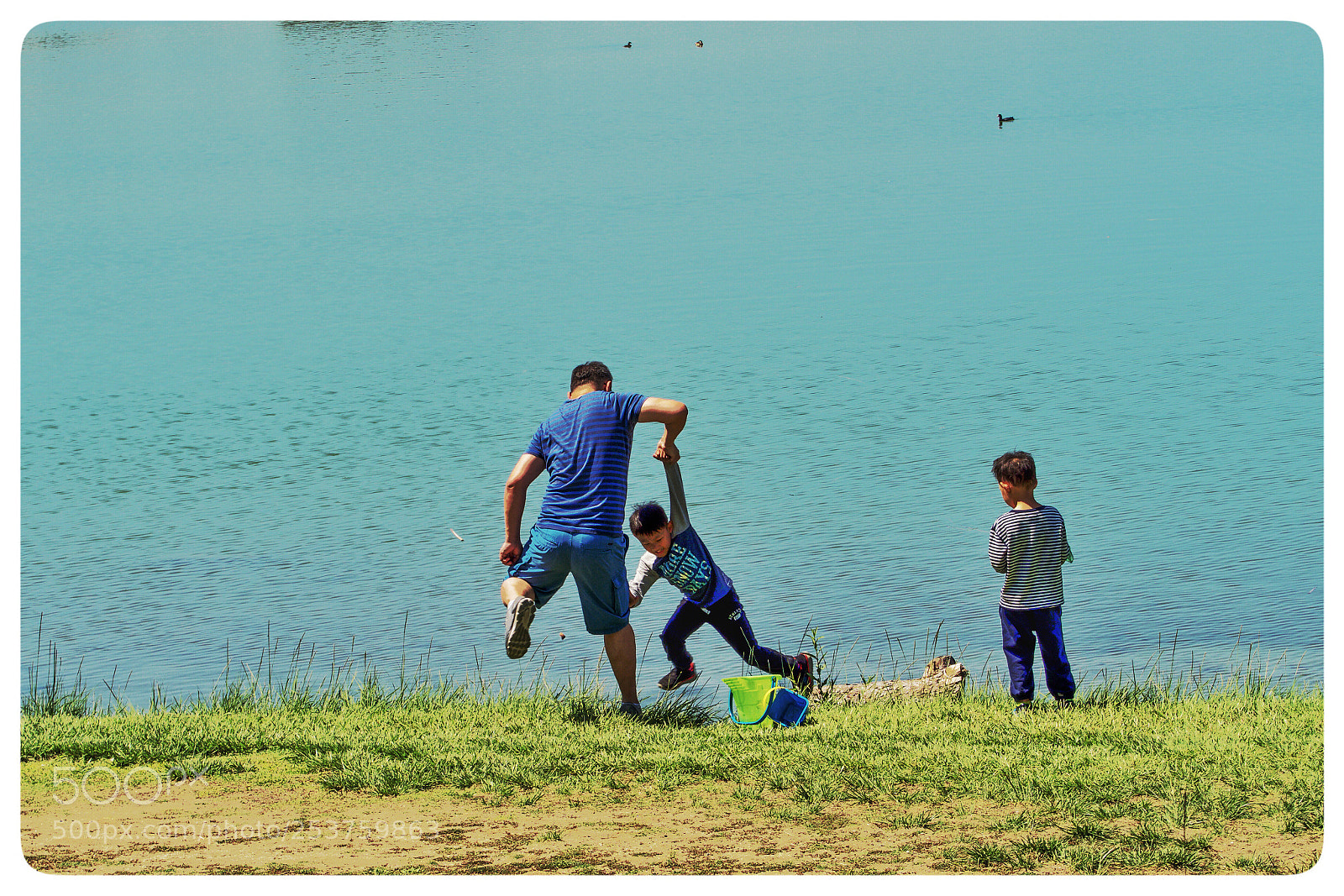 Olympus OM-D E-M1 Mark II sample photo. Untitled photography