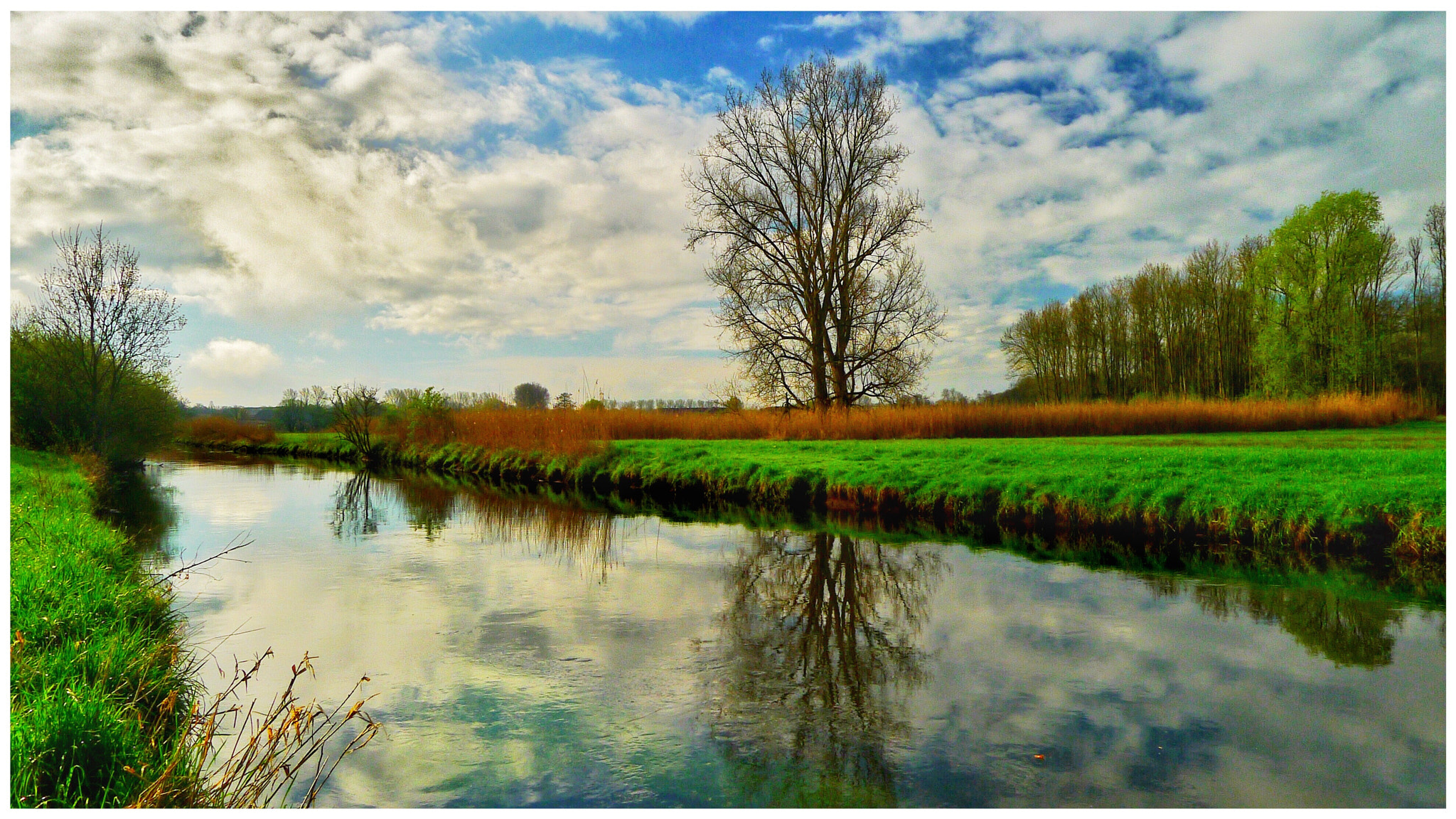 Panasonic Lumix DMC-LX5 sample photo. River niers photography