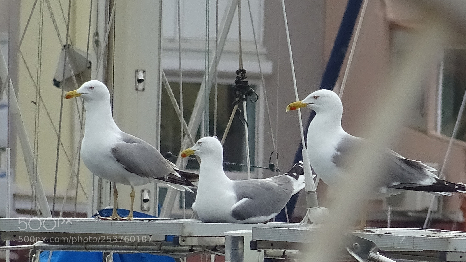 Sony DSC-HX60V sample photo. Port photography