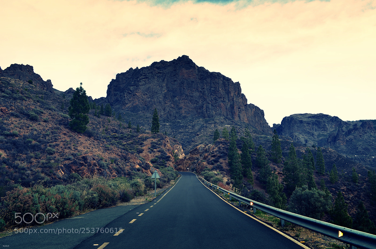 Nikon D5100 sample photo. The road... photography
