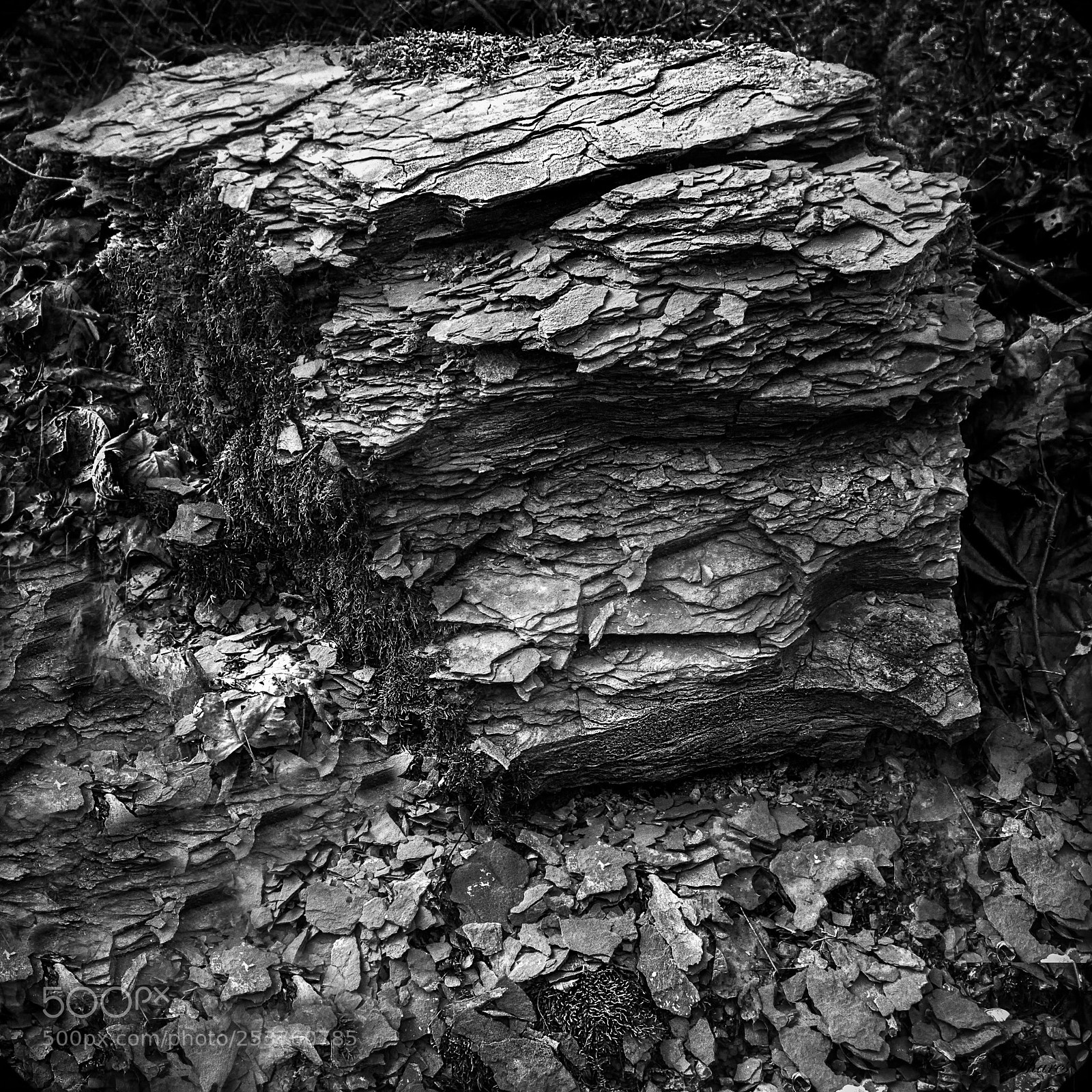 Nikon D7100 sample photo. Shale photography