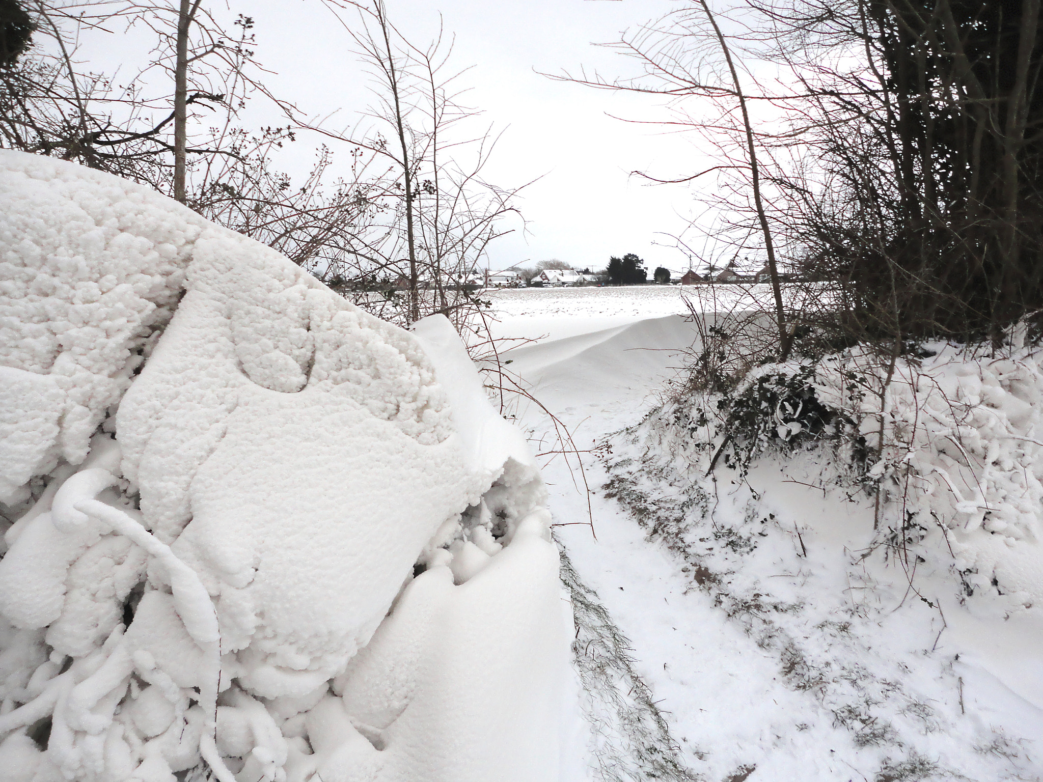 Sony Cyber-shot DSC-W350 sample photo. Martham snow photography