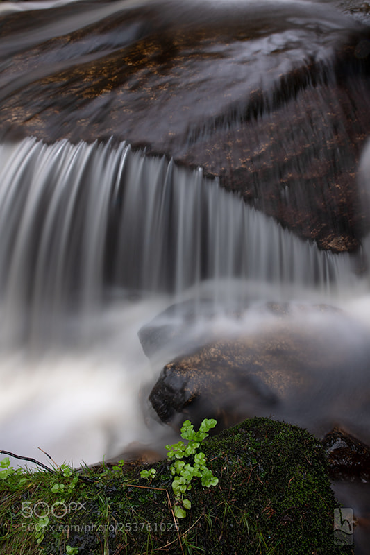 Nikon D850 sample photo. Best place at springtime... photography