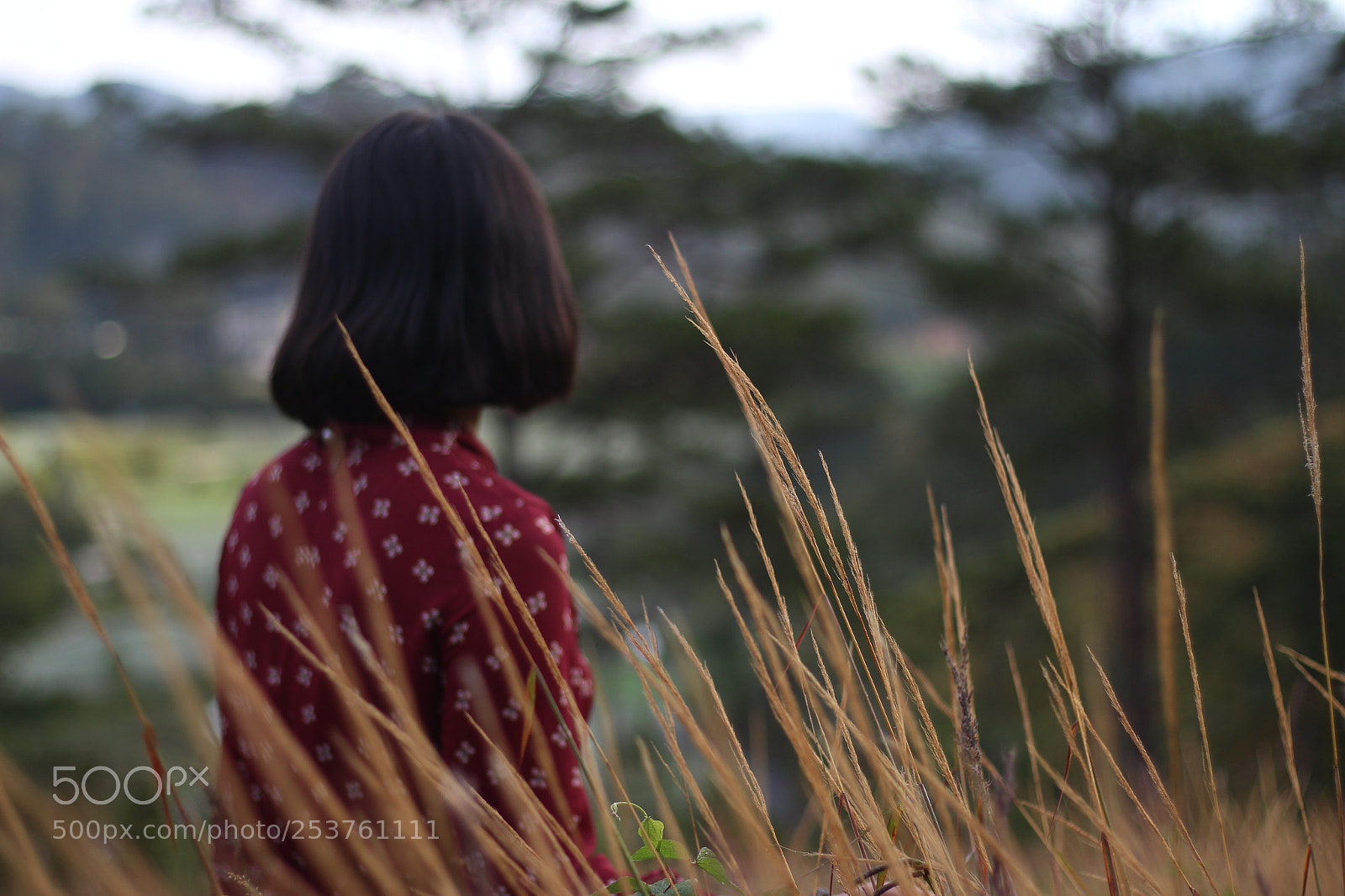 Canon EOS 700D (EOS Rebel T5i / EOS Kiss X7i) + Canon EF 50mm F1.8 STM sample photo. Untitled photography