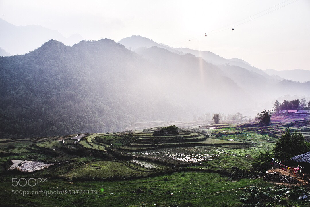 Canon EOS 60D sample photo. Sapa photography