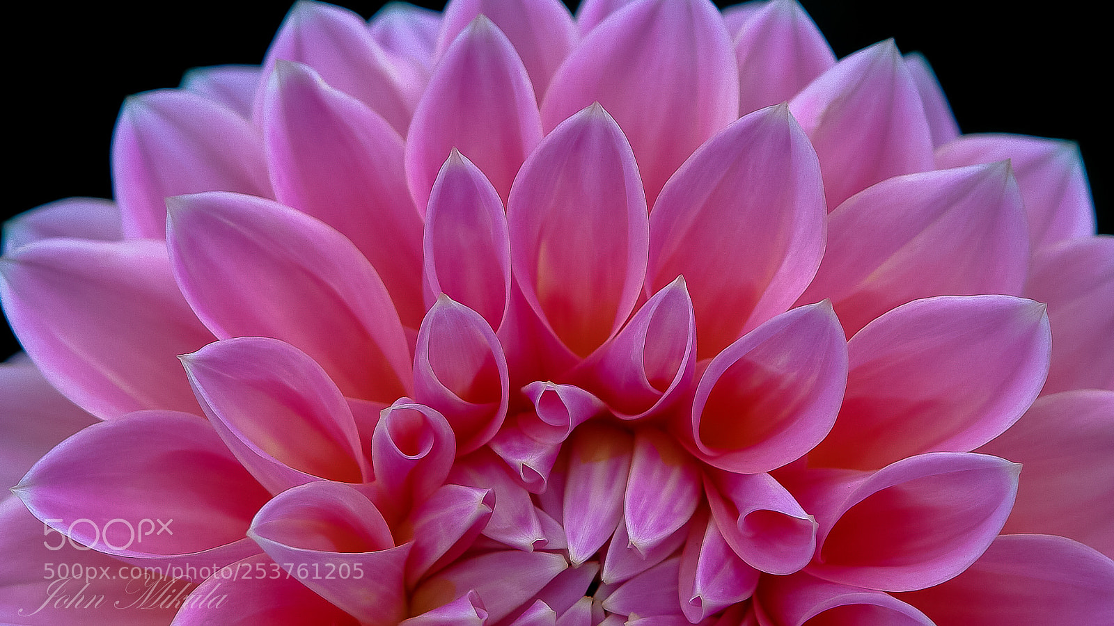 Sony DSC-R1 sample photo. Nature's perfection . photography