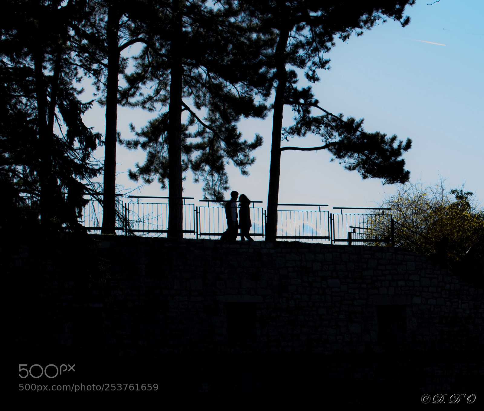Nikon D3300 sample photo. Lovers. photography