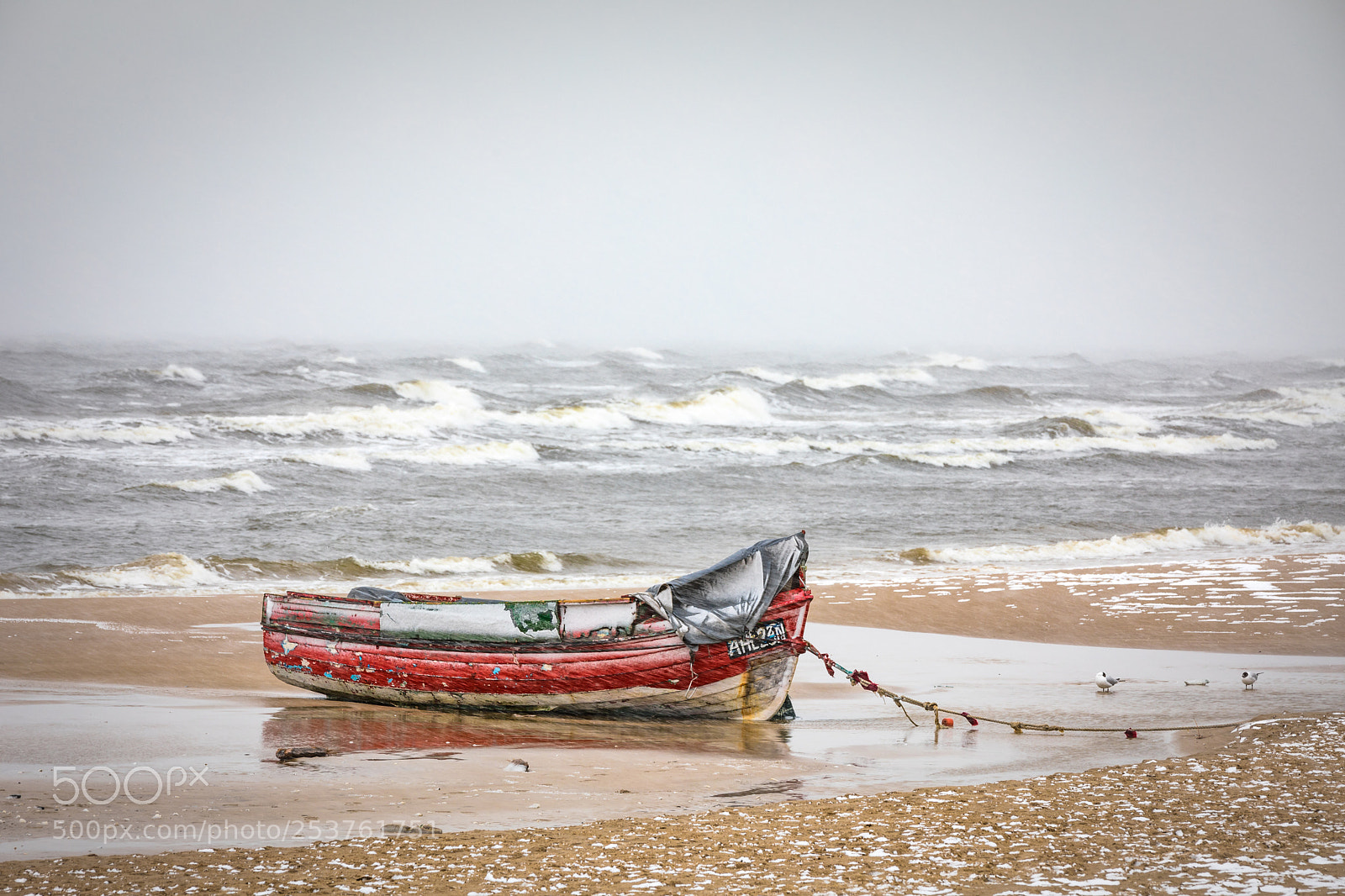 Canon EOS 5D Mark IV sample photo. Storm photography
