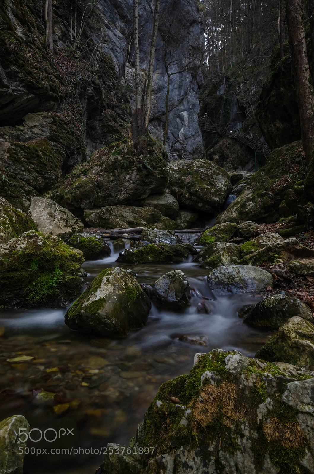 Nikon D7000 sample photo. Untitled photography