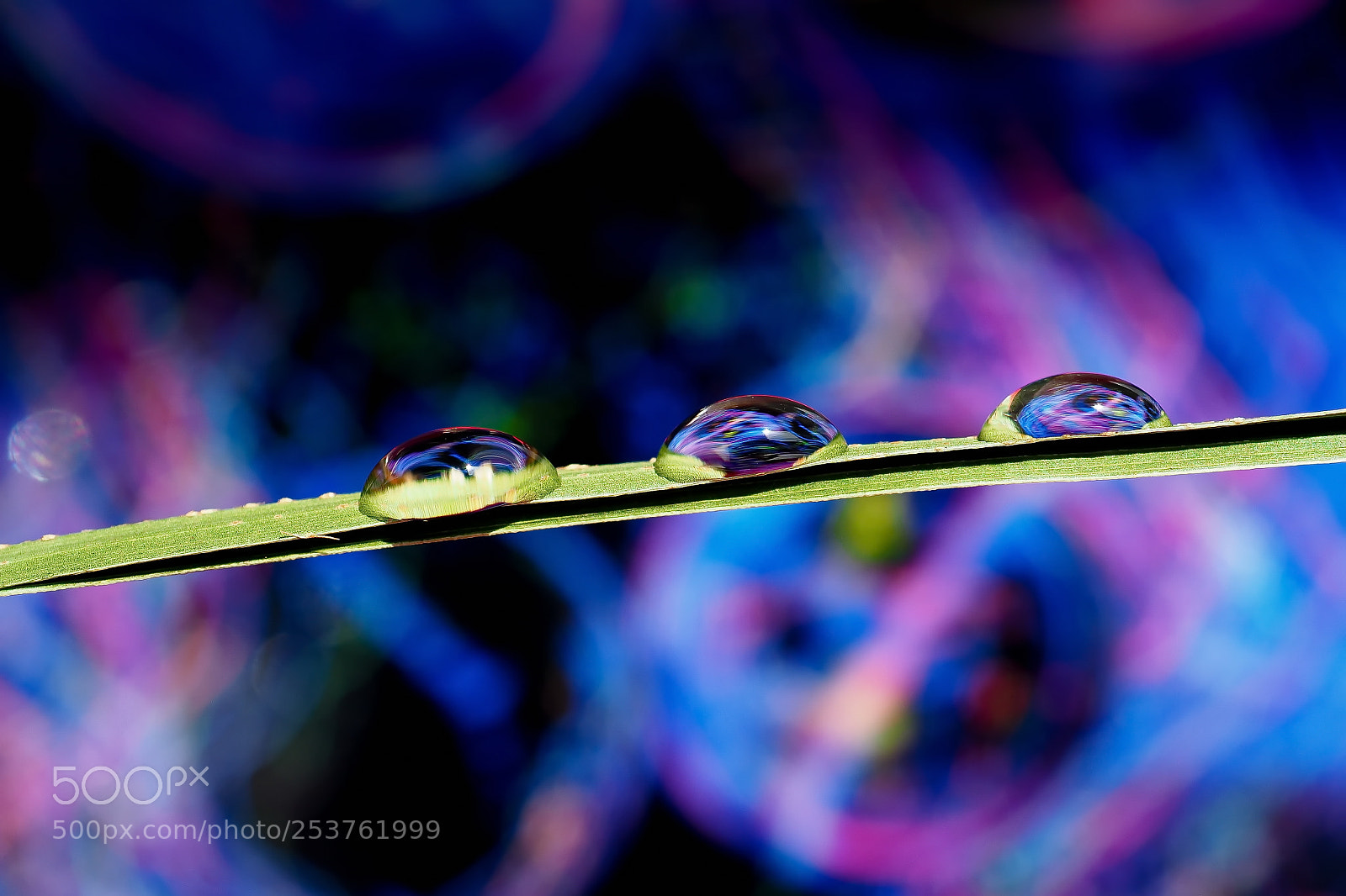 Olympus OM-D E-M10 II sample photo. Abstract drops 1 photography