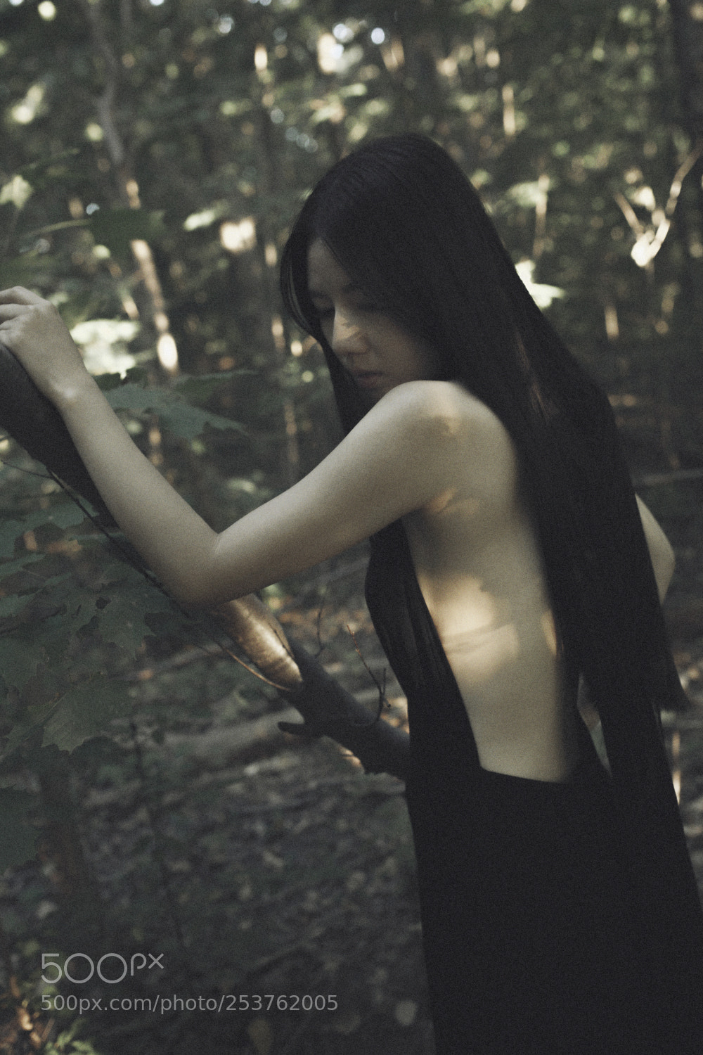 Canon EOS 5D Mark II sample photo. Jp photography