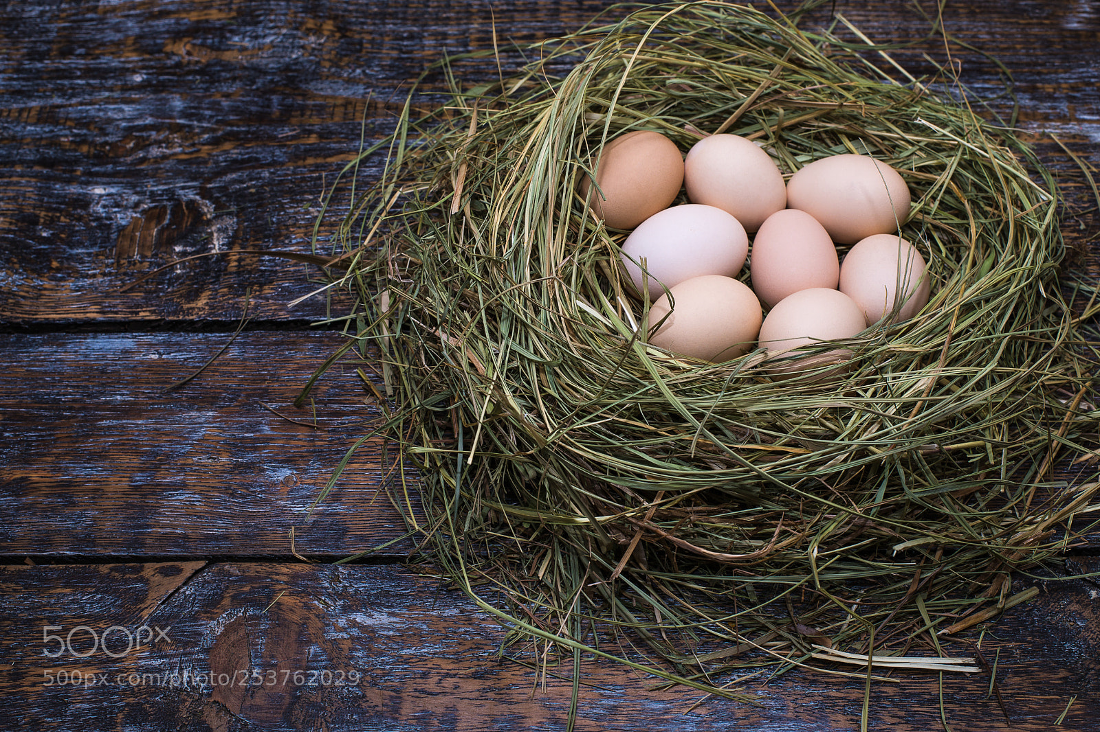 Nikon D610 sample photo. Eggs chicken at the photography