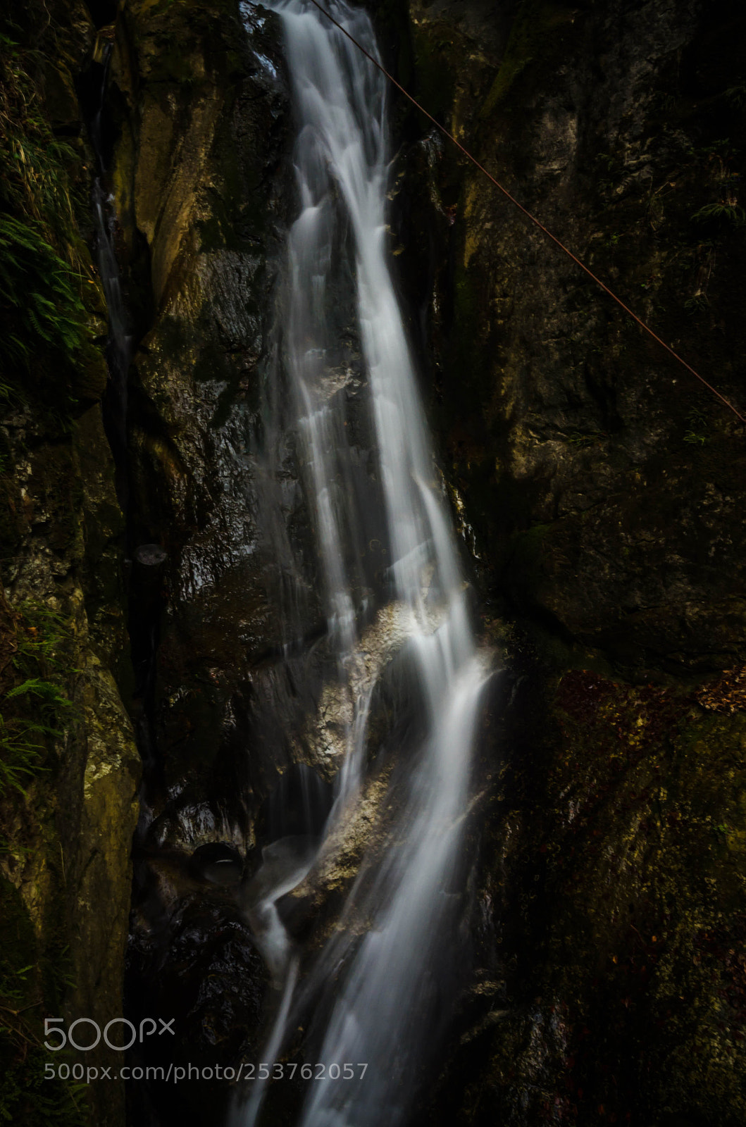 Nikon D7000 sample photo. Untitled photography