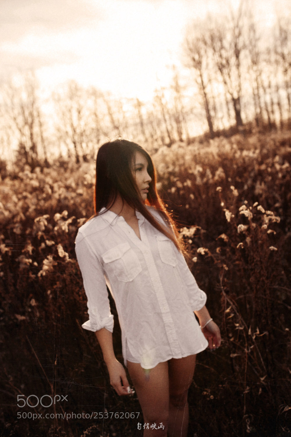 Canon EOS 5D Mark II sample photo. X photography