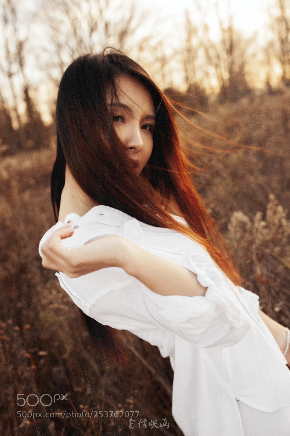 Canon EOS 5D Mark II sample photo. X photography