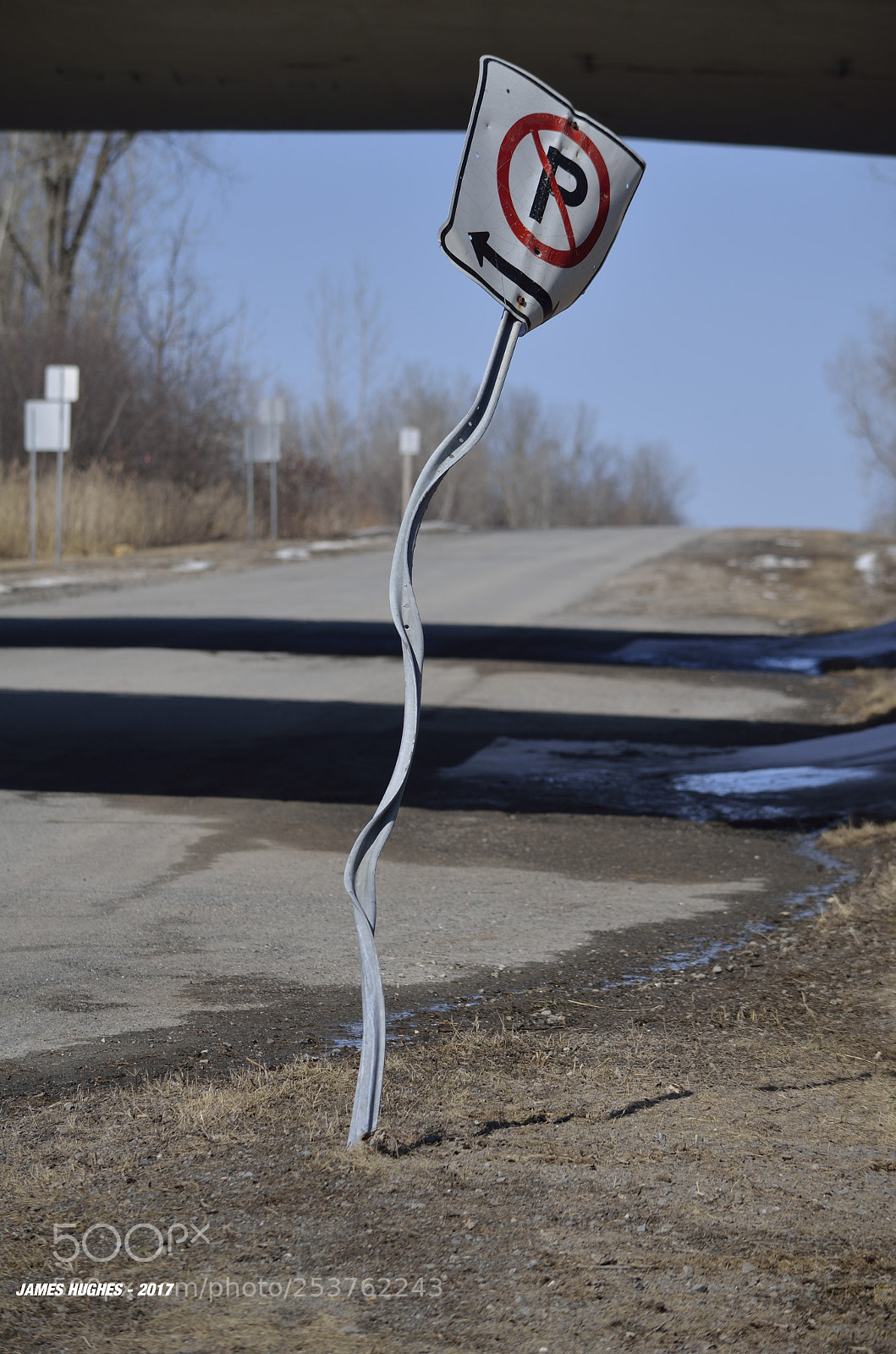 Nikon D5100 sample photo. Funny photography
