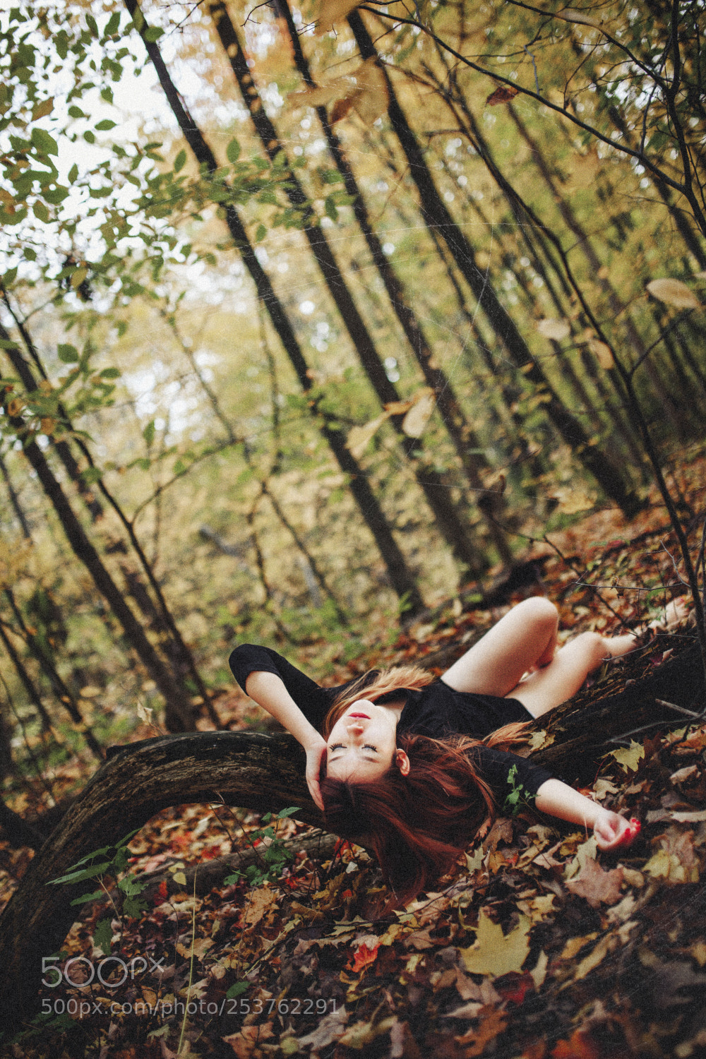 Canon EOS 5D Mark II sample photo. X photography