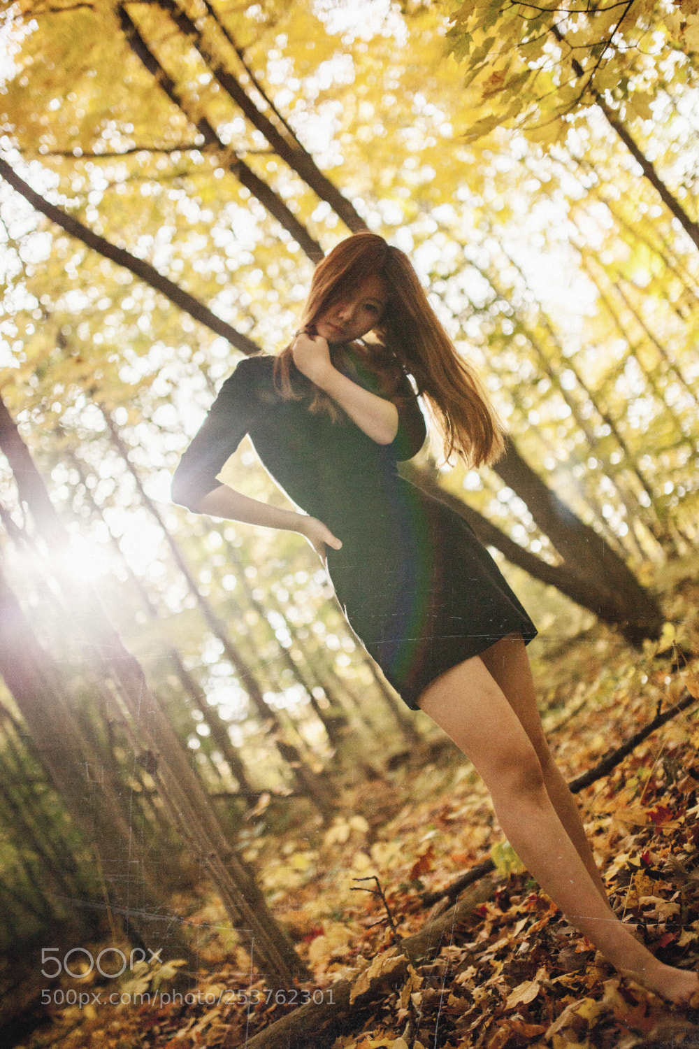 Canon EOS 5D Mark II sample photo. X photography