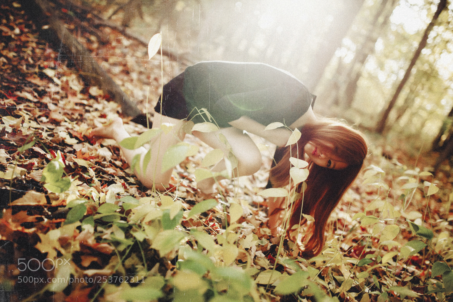 Canon EOS 5D Mark II sample photo. X photography