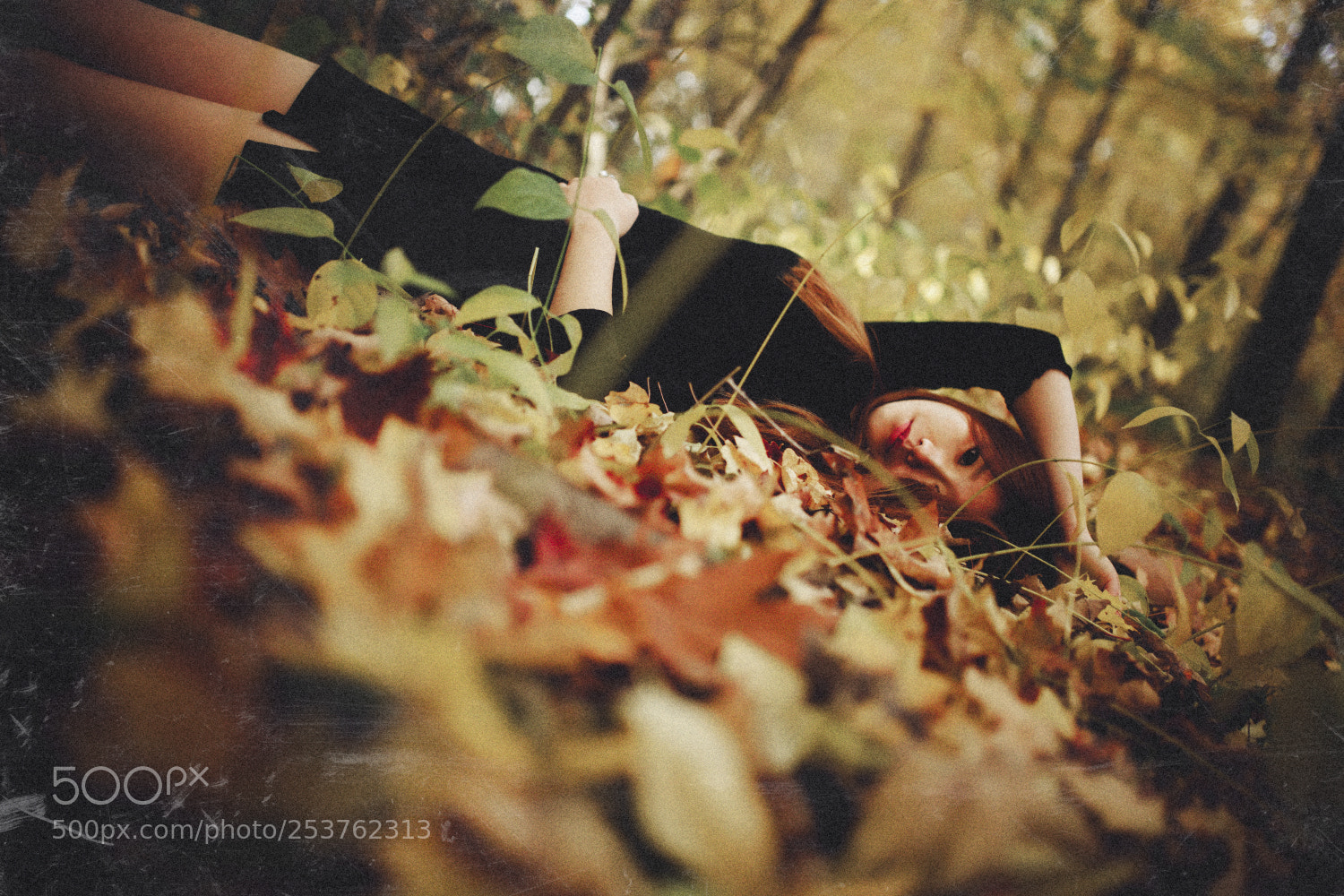 Canon EOS 5D Mark II sample photo. X photography