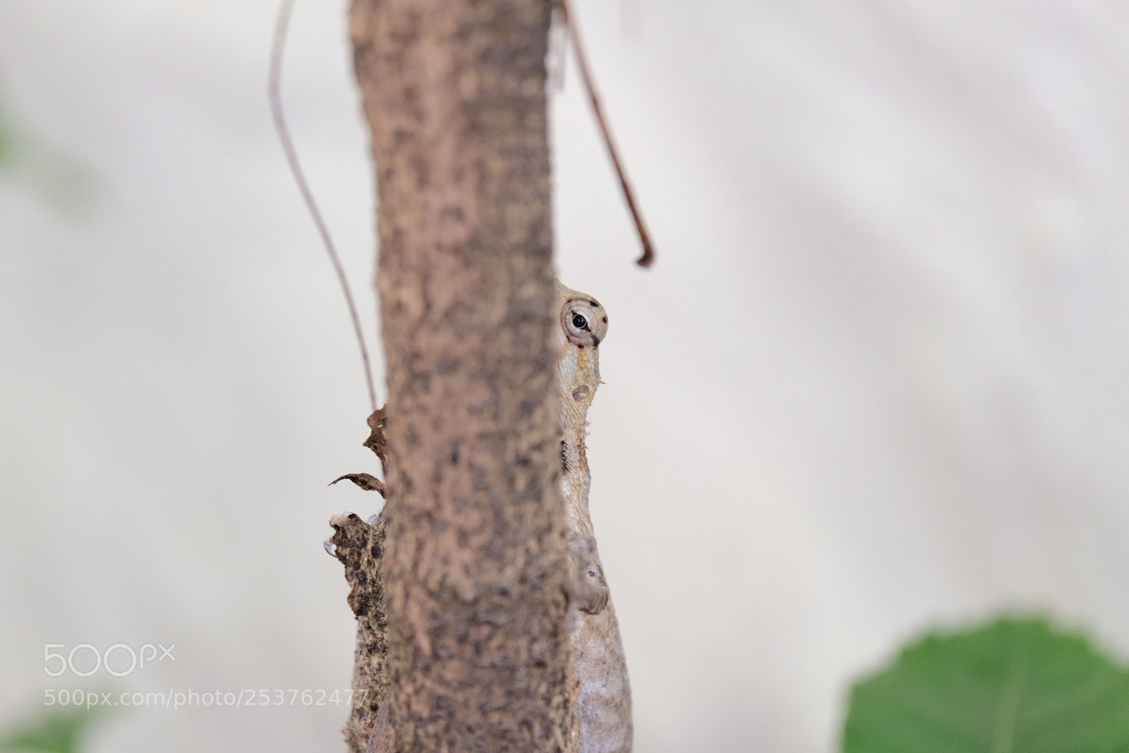 Fujifilm X-T20 sample photo. Eye can see you photography