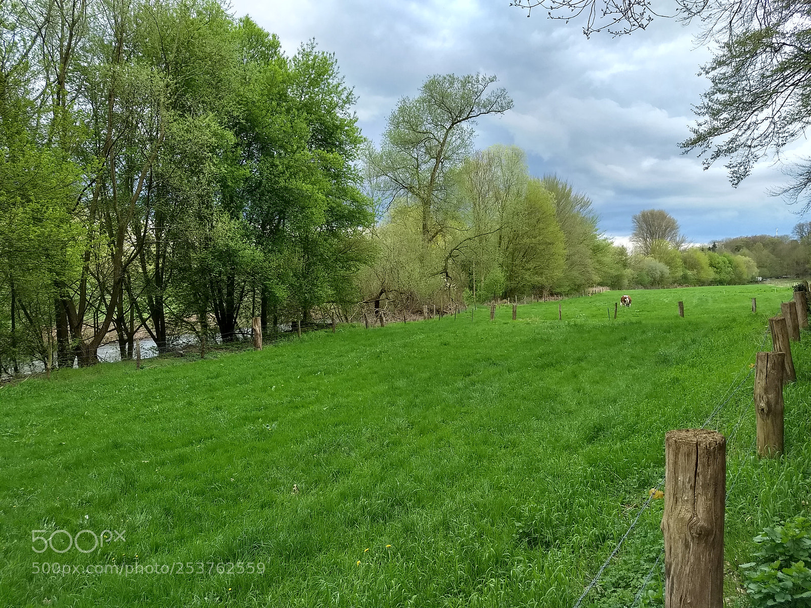 Motorola Moto G (5) Plus sample photo. Spring green photography