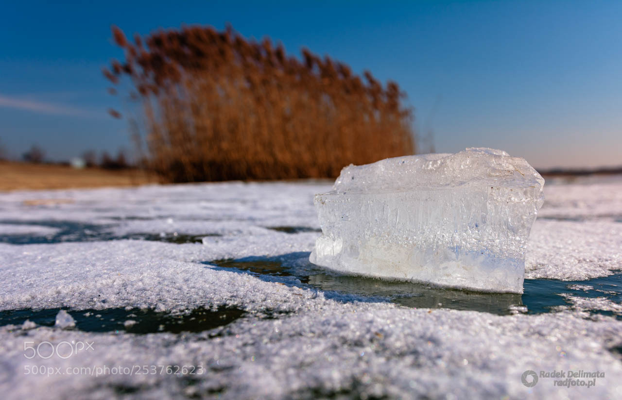 Nikon D7100 sample photo. Ice photography