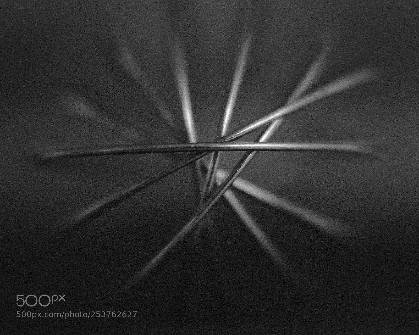 Fujifilm X-Pro2 sample photo. Project 52 #15 - whisk photography