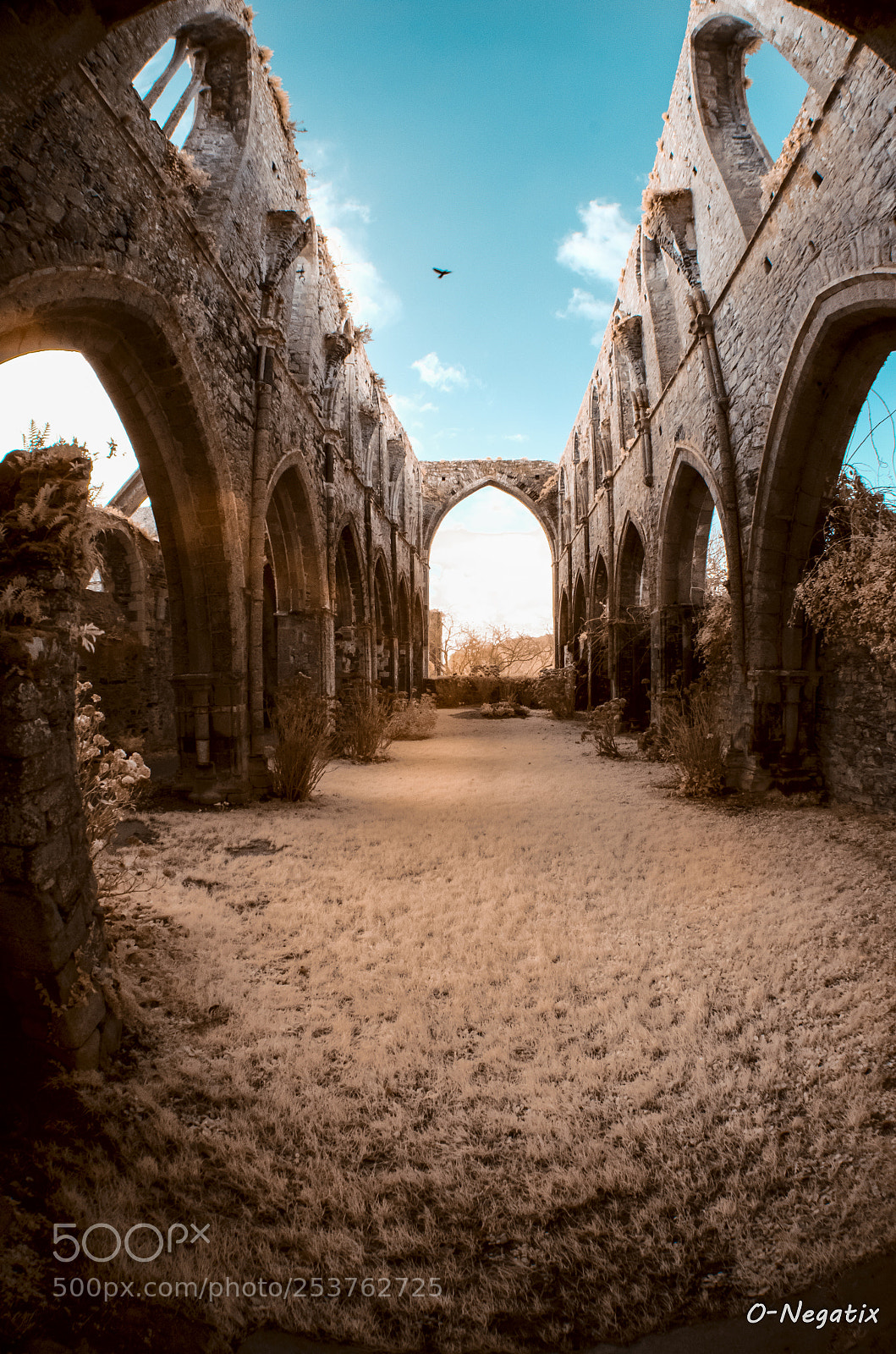 Nikon D7000 sample photo. Beauport's abbey - paimpol photography