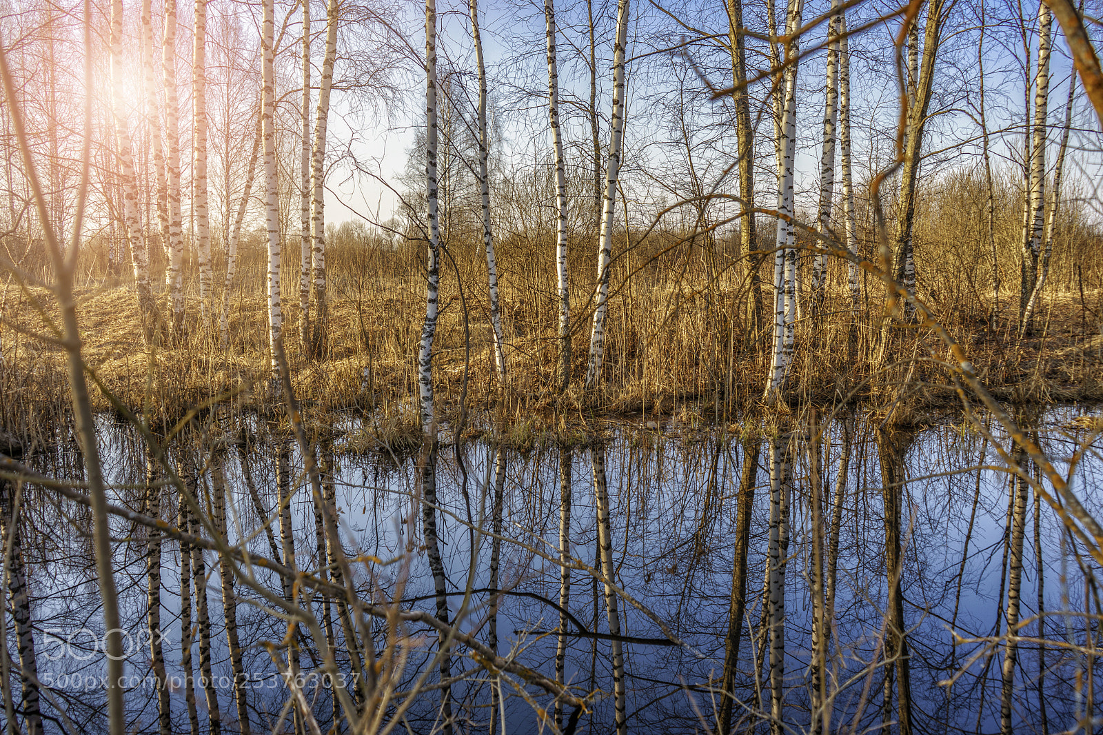 Sony a7 II sample photo. Spring photography