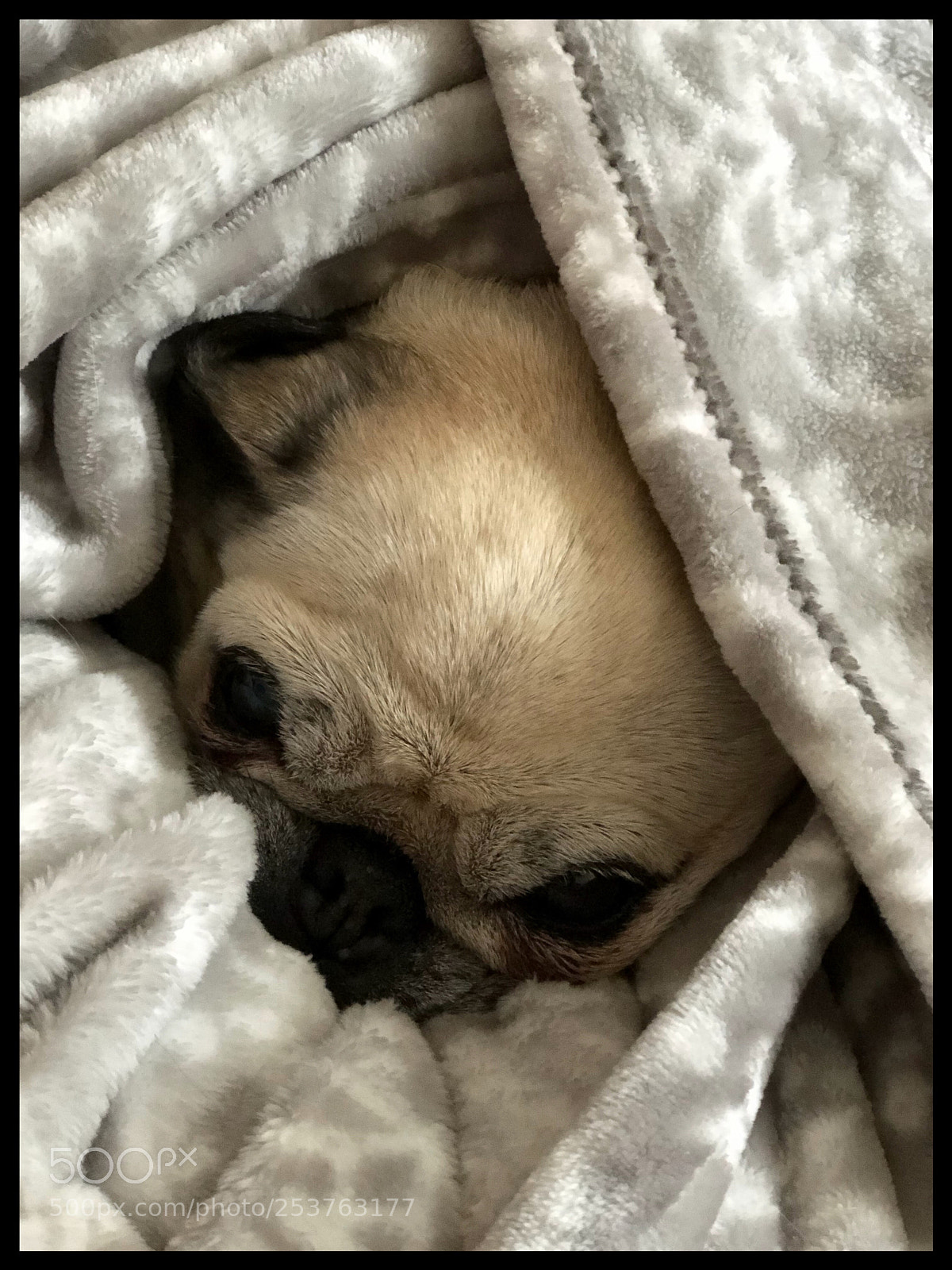 Apple iPhone 8 Plus sample photo. Keeping warm photography