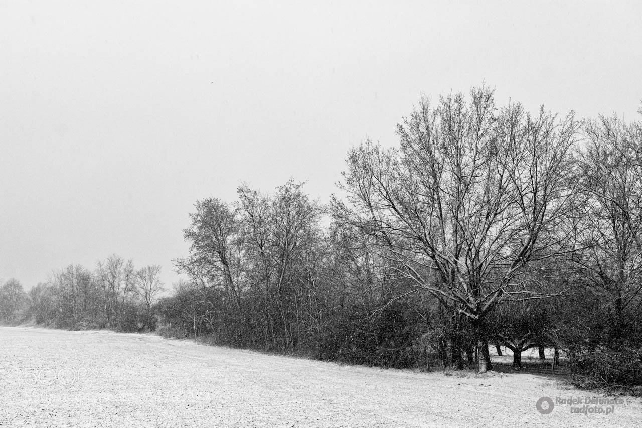 Nikon D7100 sample photo. Winter in tarnobrzeg photography