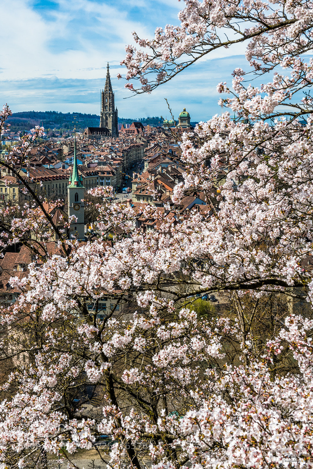 Nikon D850 sample photo. Berne in springtime photography
