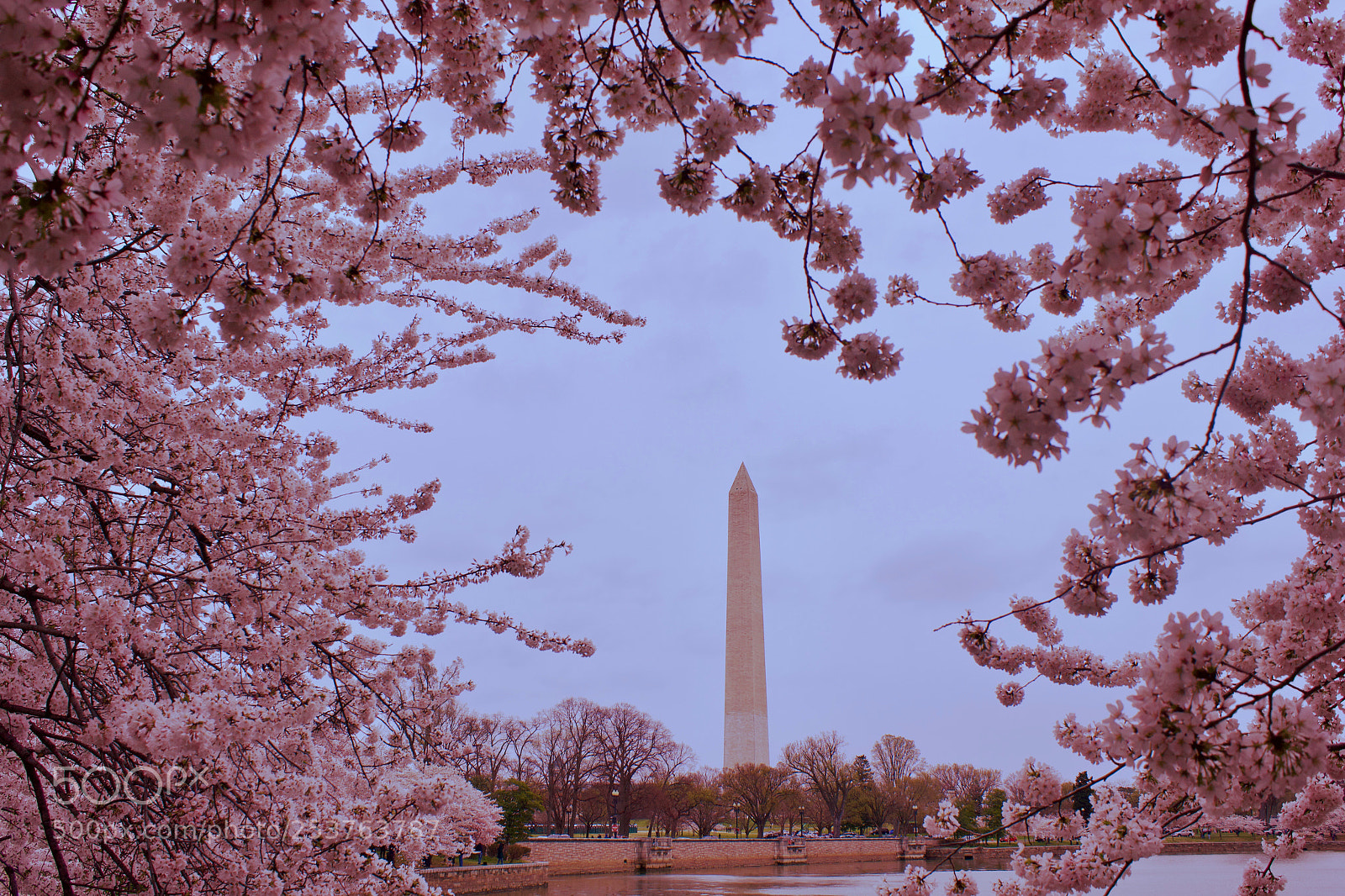 Canon EOS 550D (EOS Rebel T2i / EOS Kiss X4) sample photo. Washington monument photography