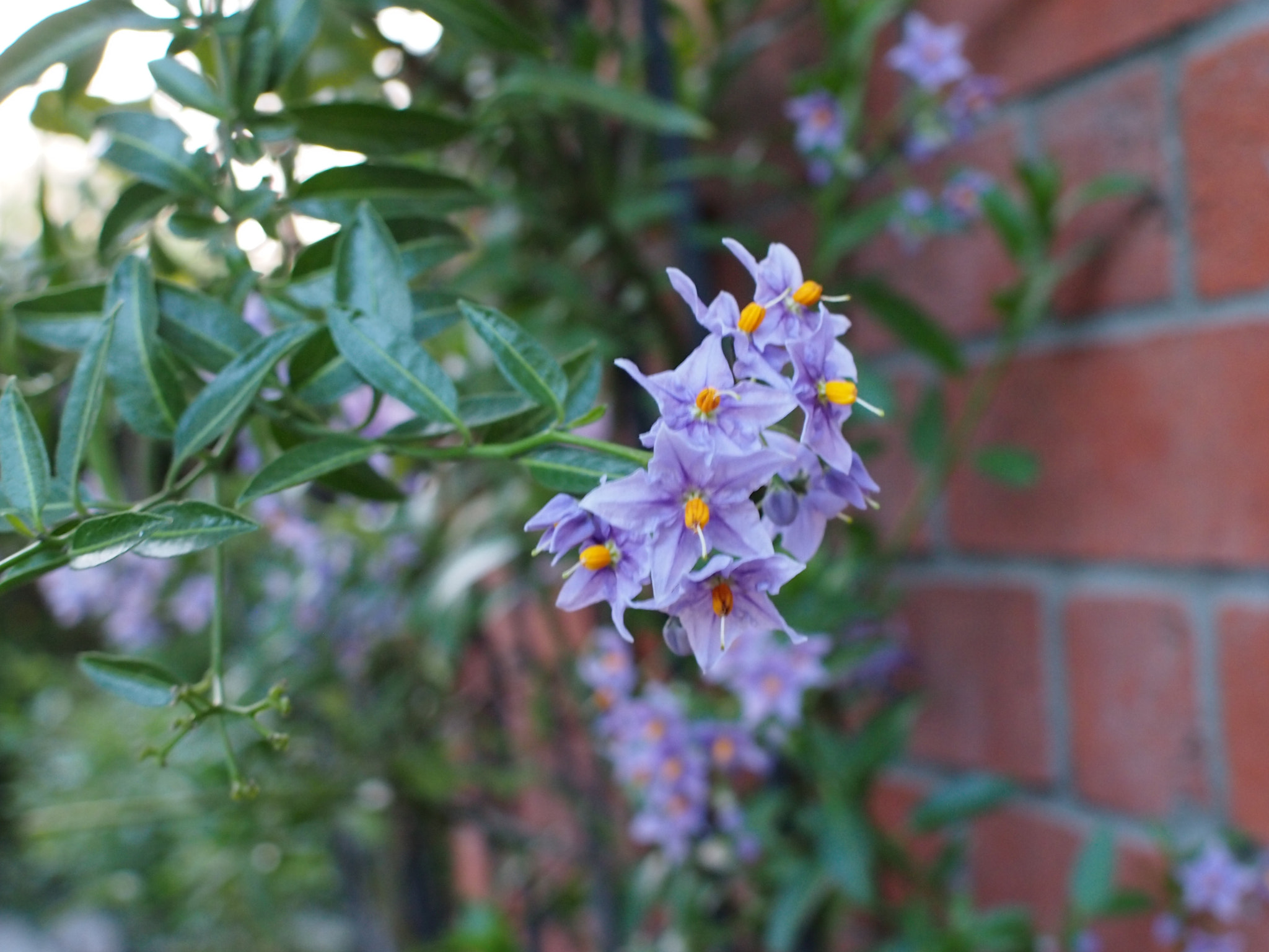 Olympus PEN E-P3 sample photo. Olympus digital camera photography