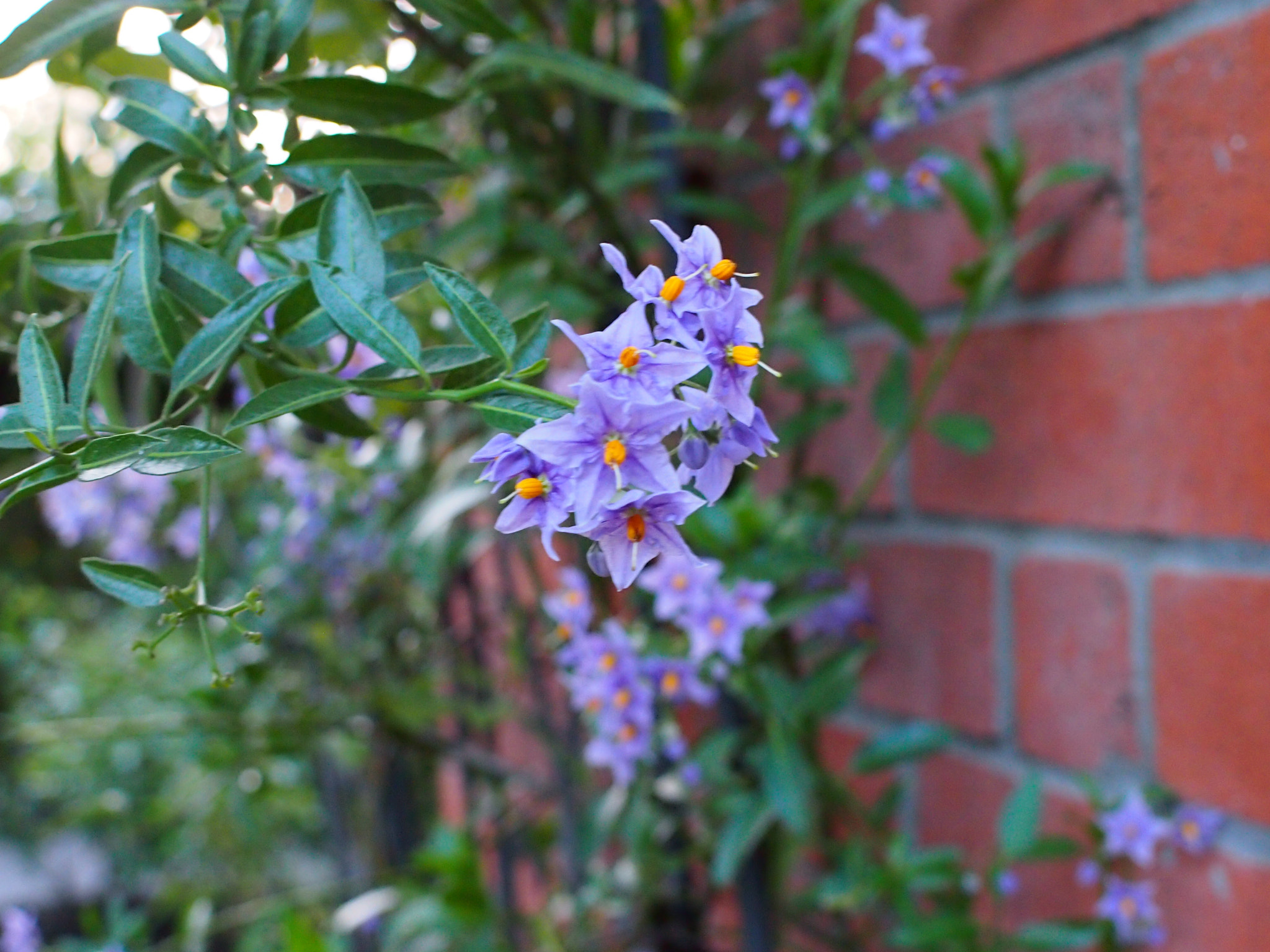 Olympus PEN E-P3 sample photo. Olympus digital camera photography