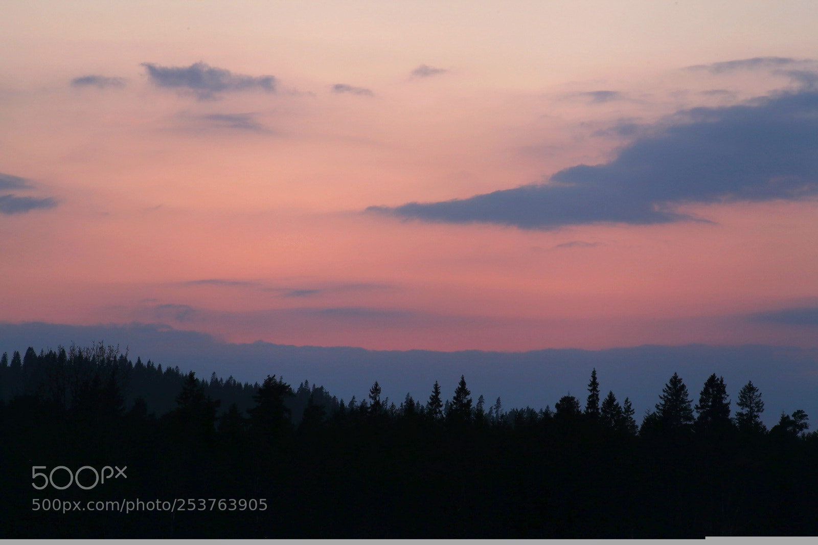 Canon EOS 5D Mark II sample photo. Spring sky photography