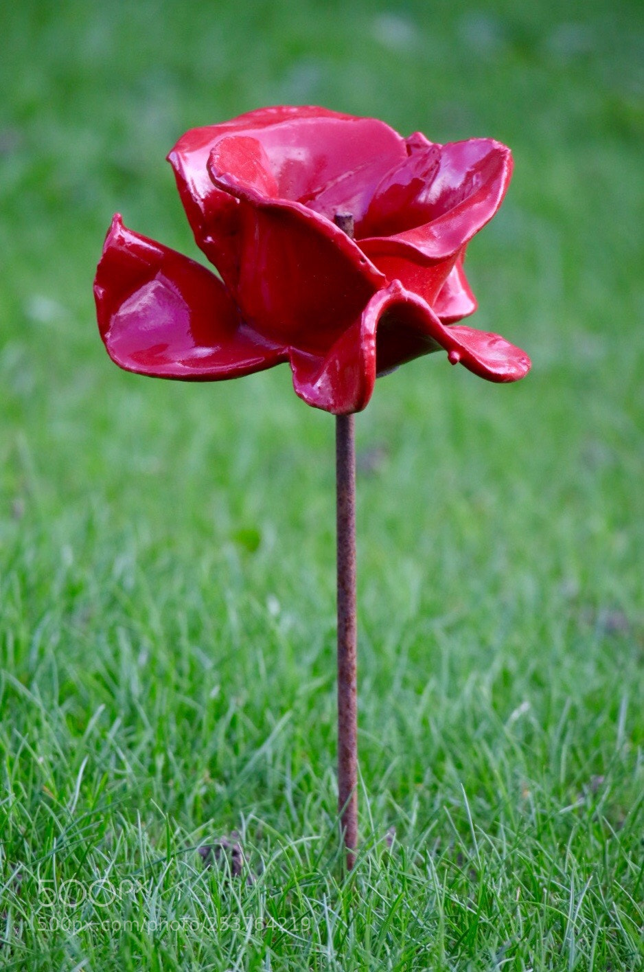 Canon EOS M50 (EOS Kiss M) sample photo. Red & green photography