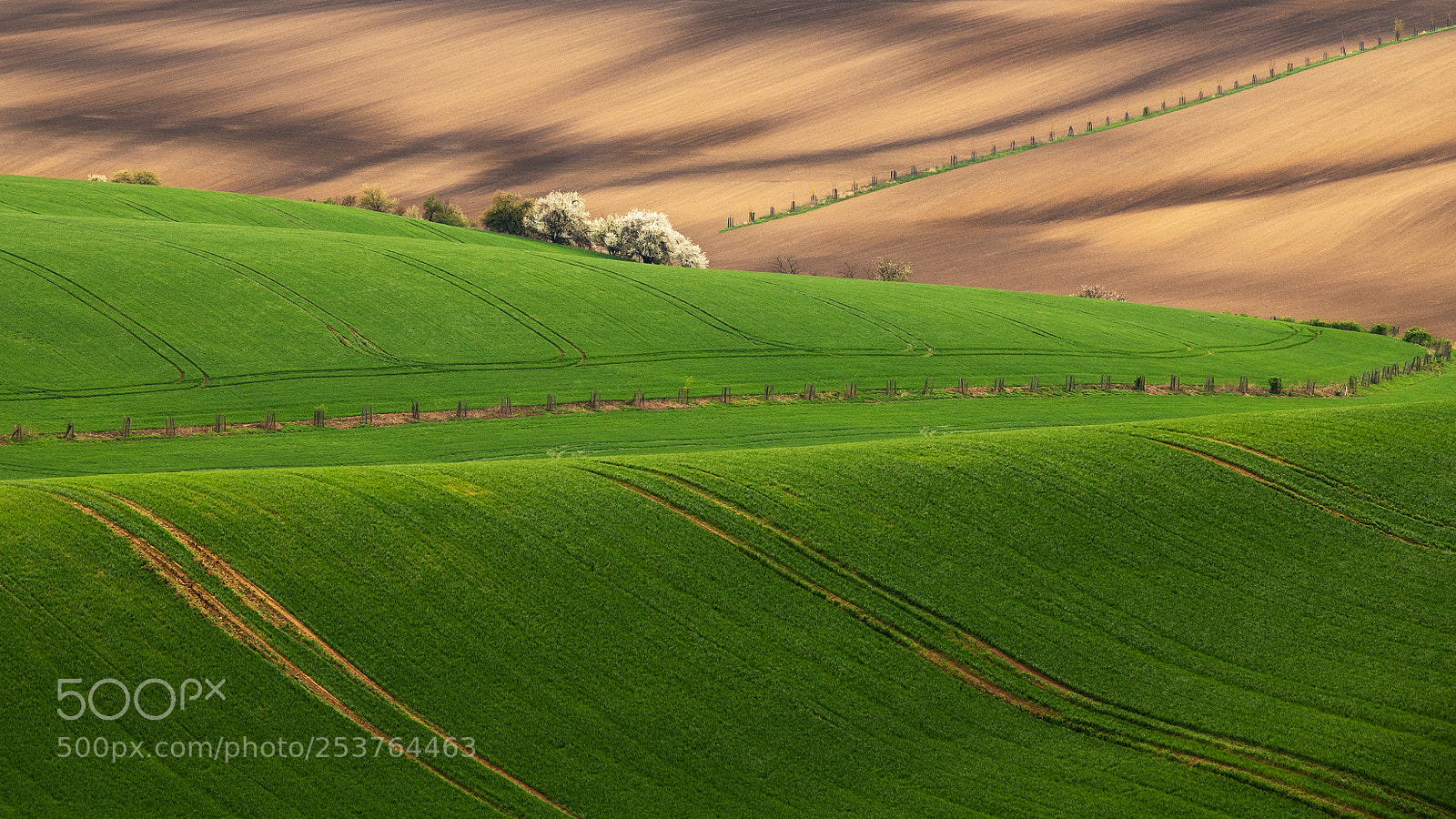 Canon EOS 6D Mark II sample photo. Moravia photography