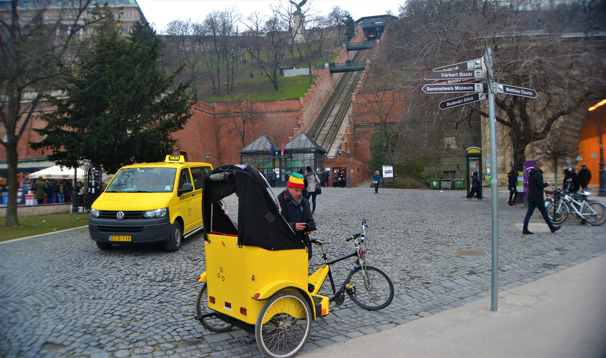 Nikon D3100 sample photo. Yellow attracts?? photography