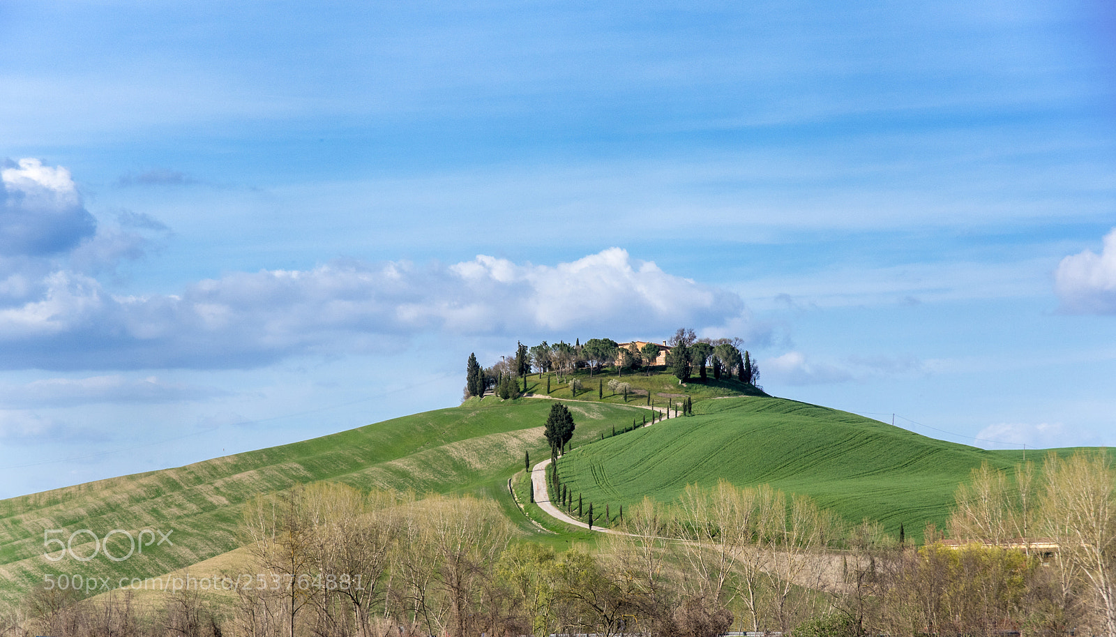 Pentax K-3 II sample photo. Colli senesi photography