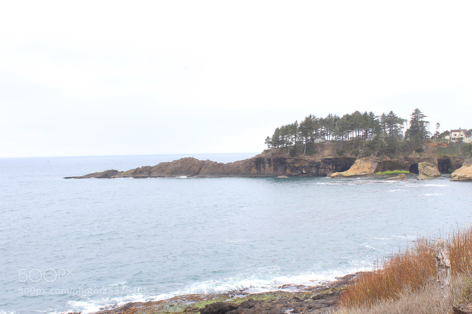 Canon EOS 1200D (EOS Rebel T5 / EOS Kiss X70 / EOS Hi) sample photo. Img photography