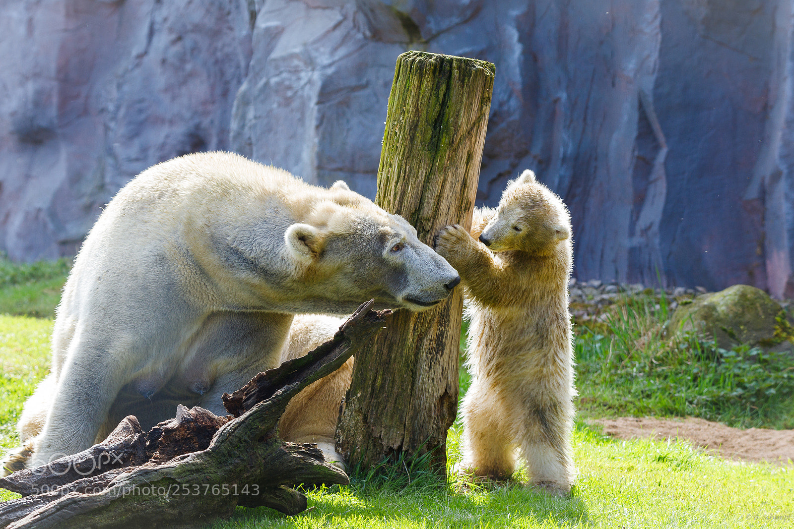 Canon EOS 6D Mark II sample photo. Nanook und die mama photography